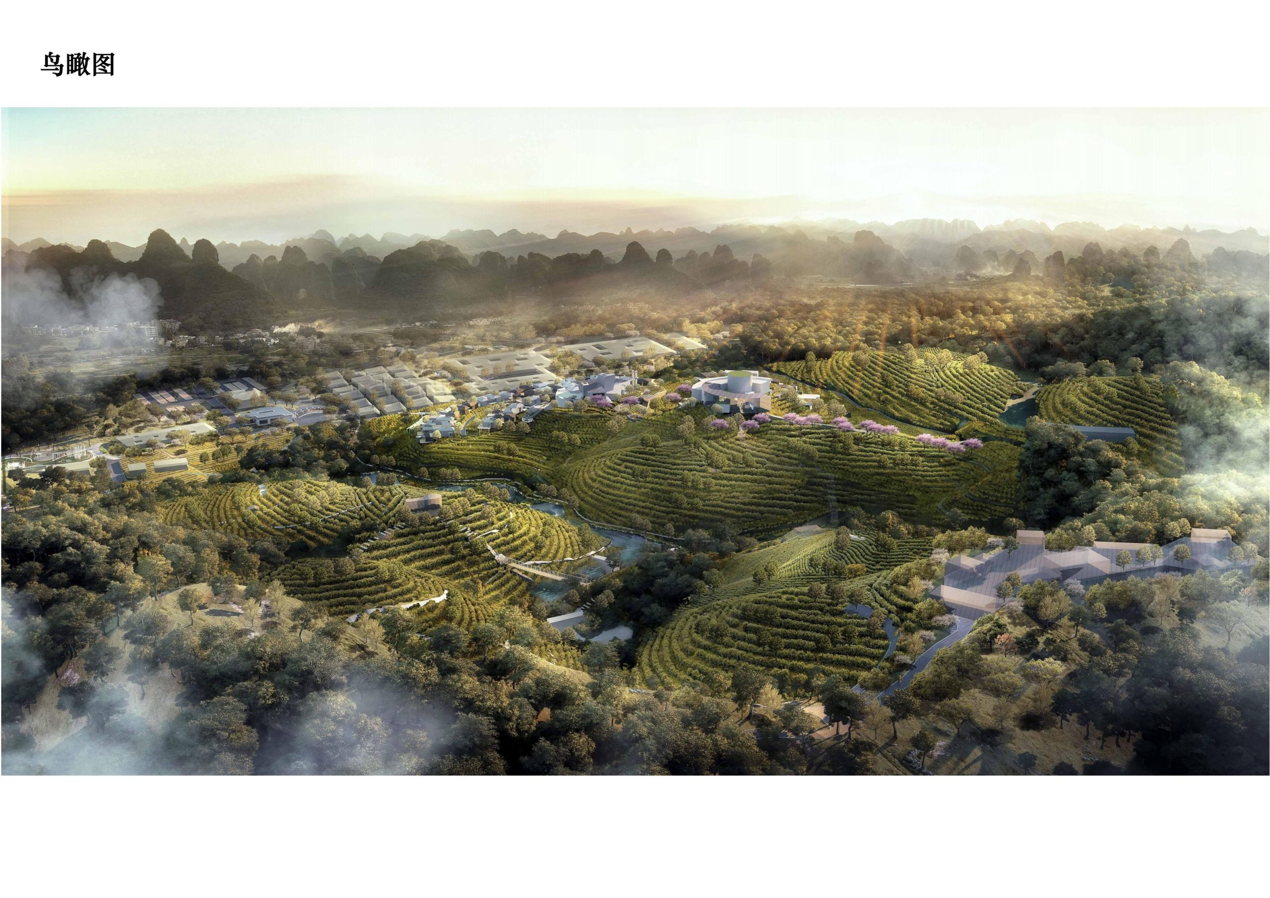 图片[24]-英德市黄花镇T三茶庄农文旅板块方案 - 由甫网-由甫网