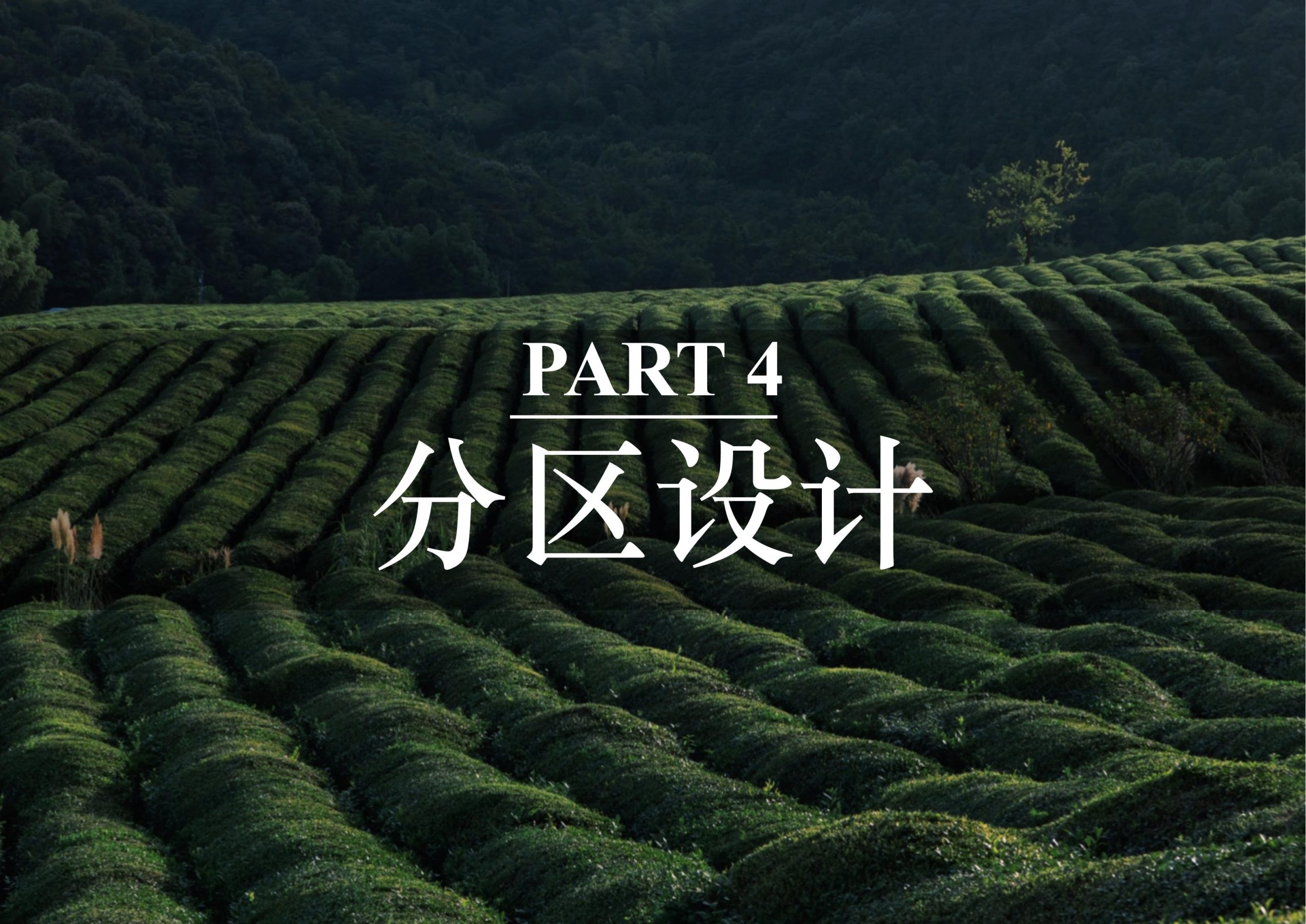 图片[26]-英德市黄花镇T三茶庄农文旅板块方案 - 由甫网-由甫网