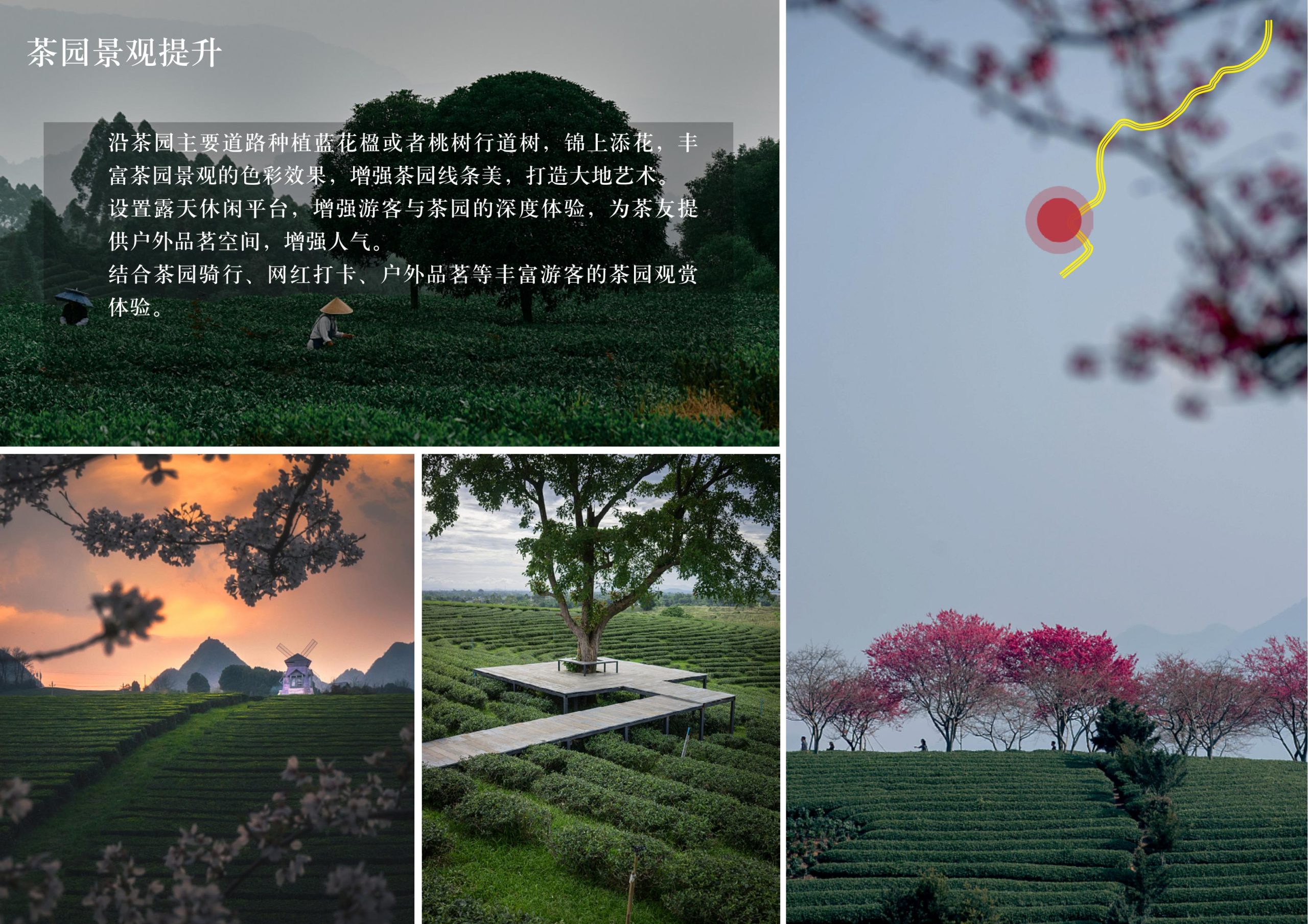 图片[33]-英德市黄花镇T三茶庄农文旅板块方案 - 由甫网-由甫网