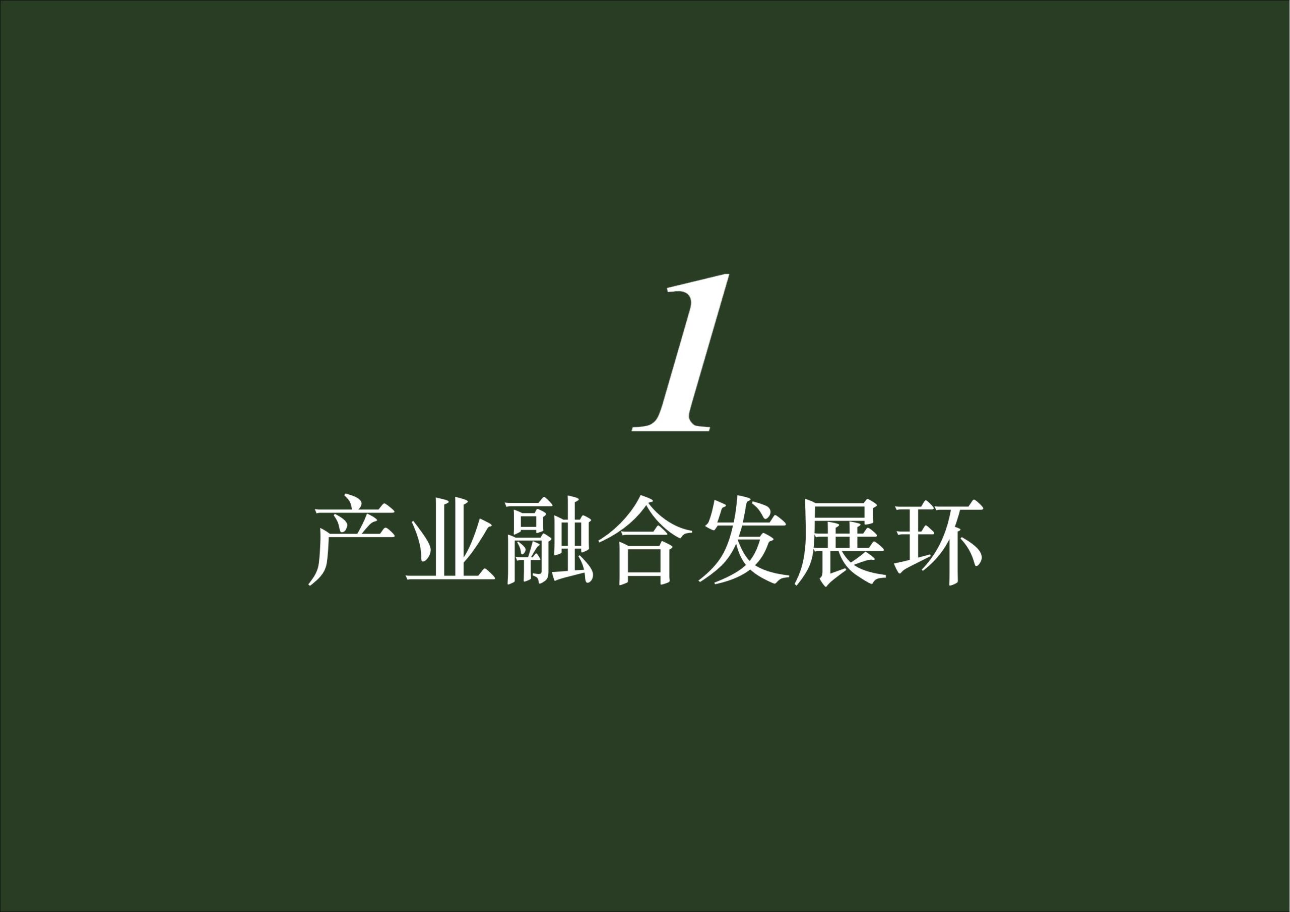 图片[37]-英德市黄花镇T三茶庄农文旅板块方案 - 由甫网-由甫网