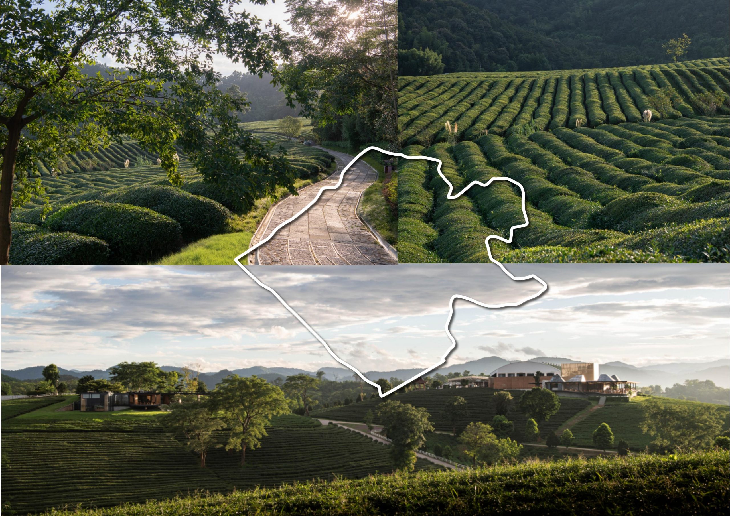 图片[39]-英德市黄花镇T三茶庄农文旅板块方案 - 由甫网-由甫网