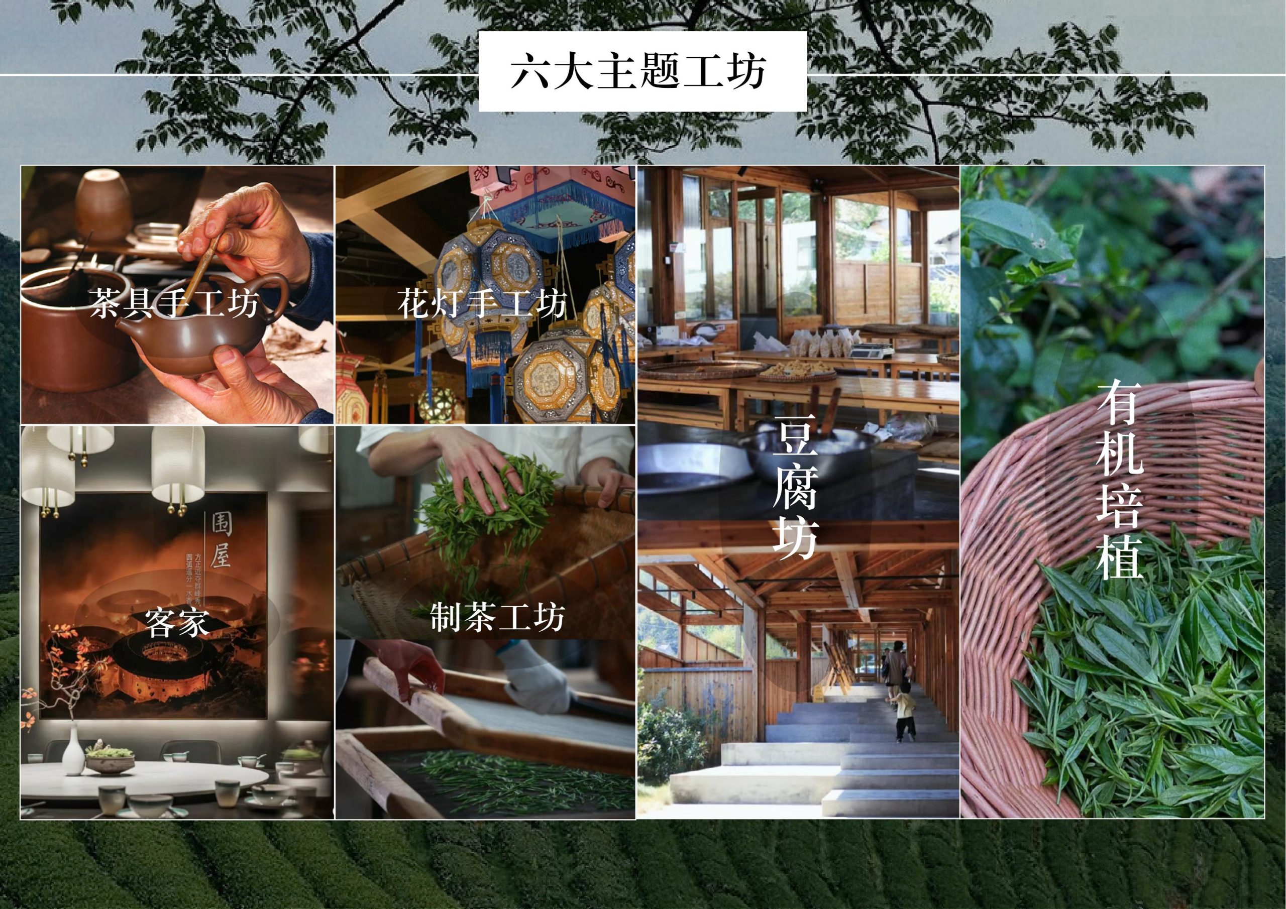 图片[63]-英德市黄花镇T三茶庄农文旅板块方案 - 由甫网-由甫网