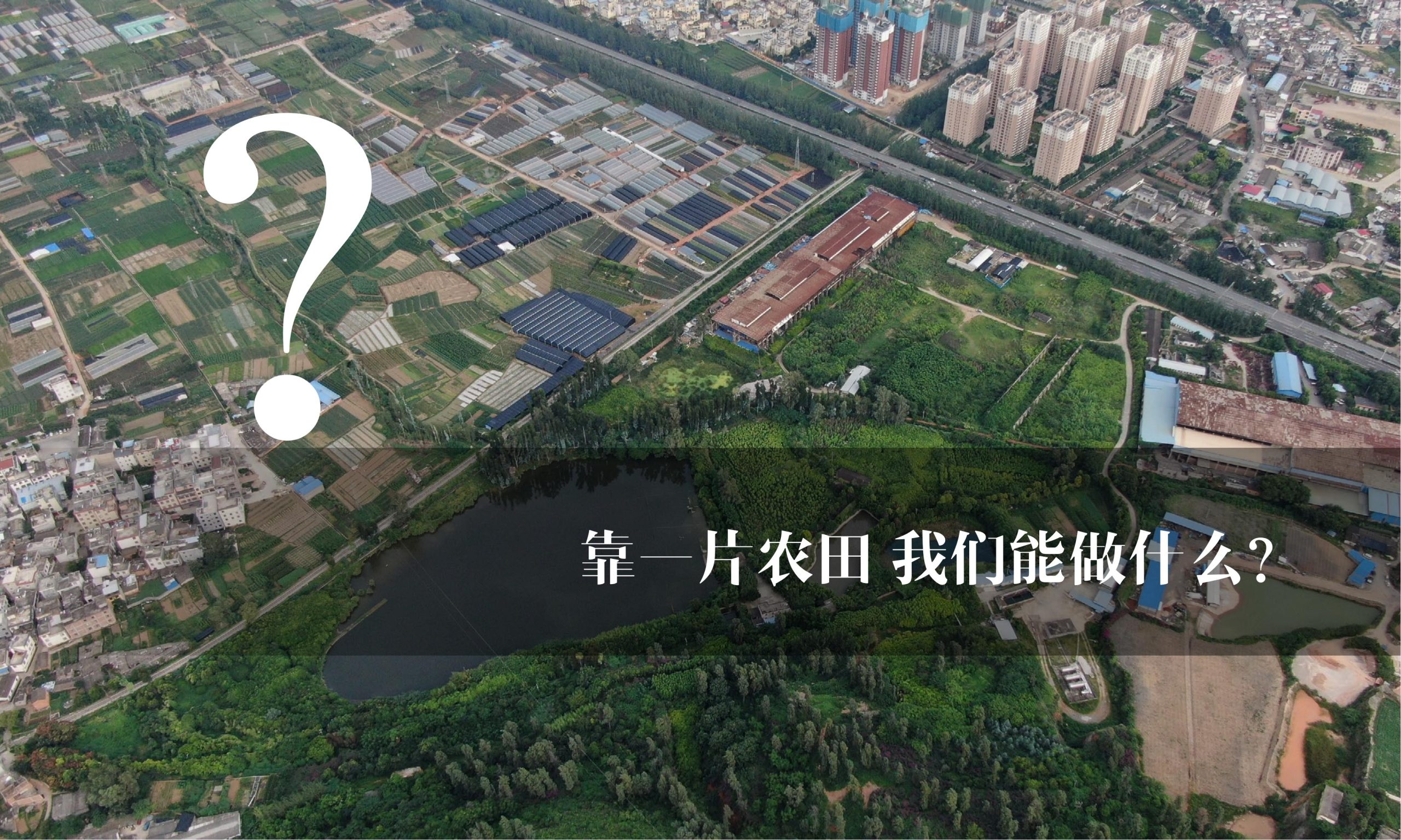 图片[8]-昆明小白龙温泉小镇农田策划方案 - 由甫网-由甫网