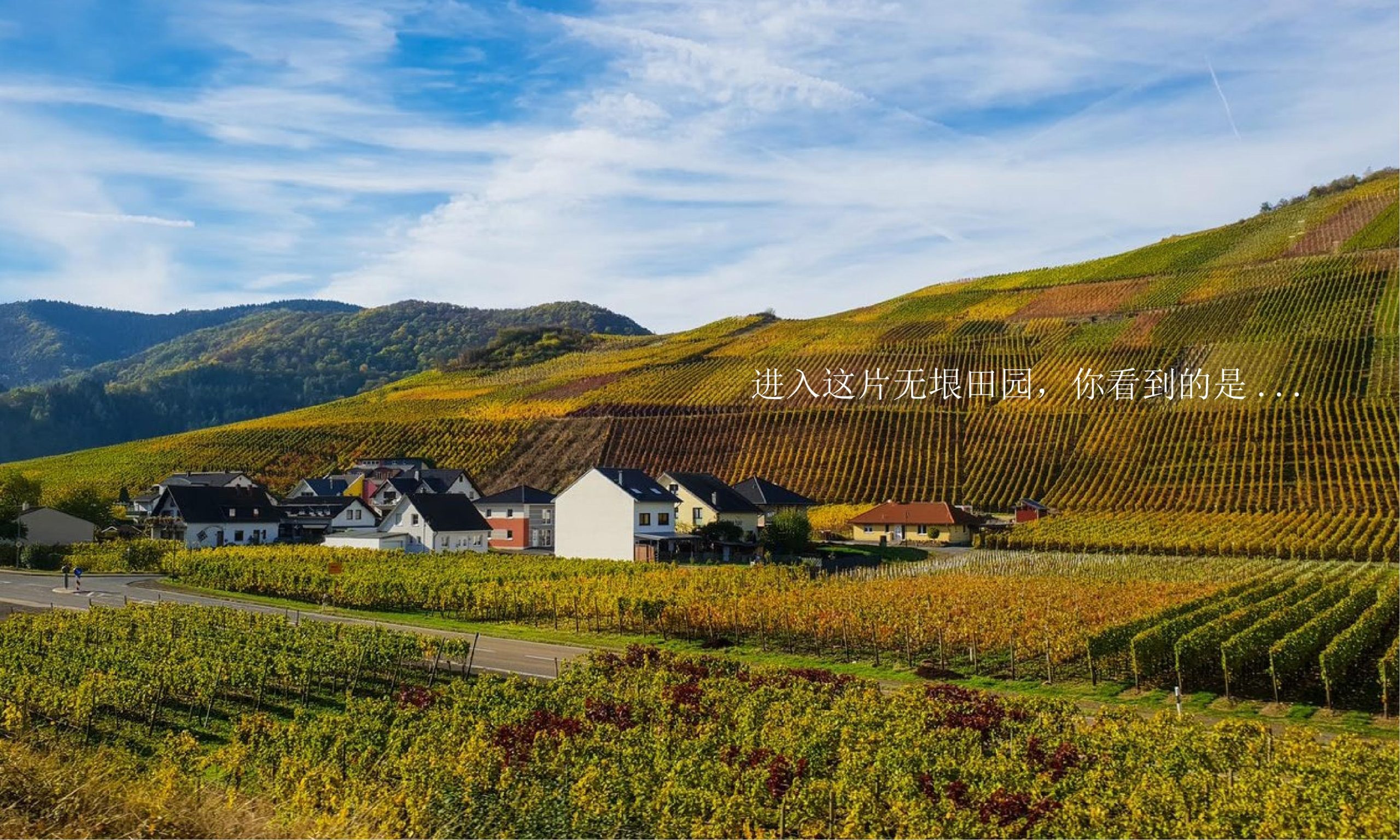 图片[19]-昆明小白龙温泉小镇农田策划方案 - 由甫网-由甫网