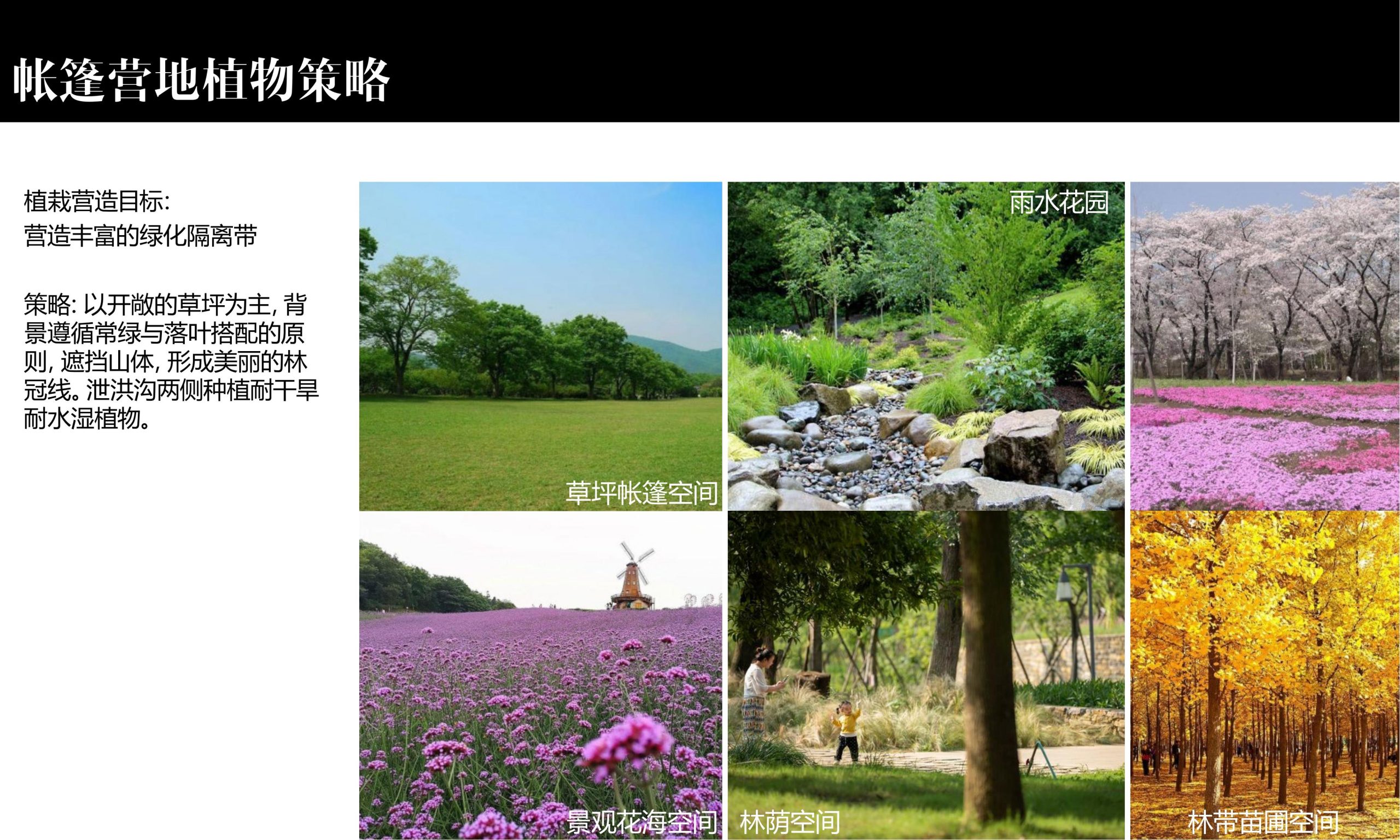 图片[28]-昆明小白龙温泉小镇农田策划方案 - 由甫网-由甫网