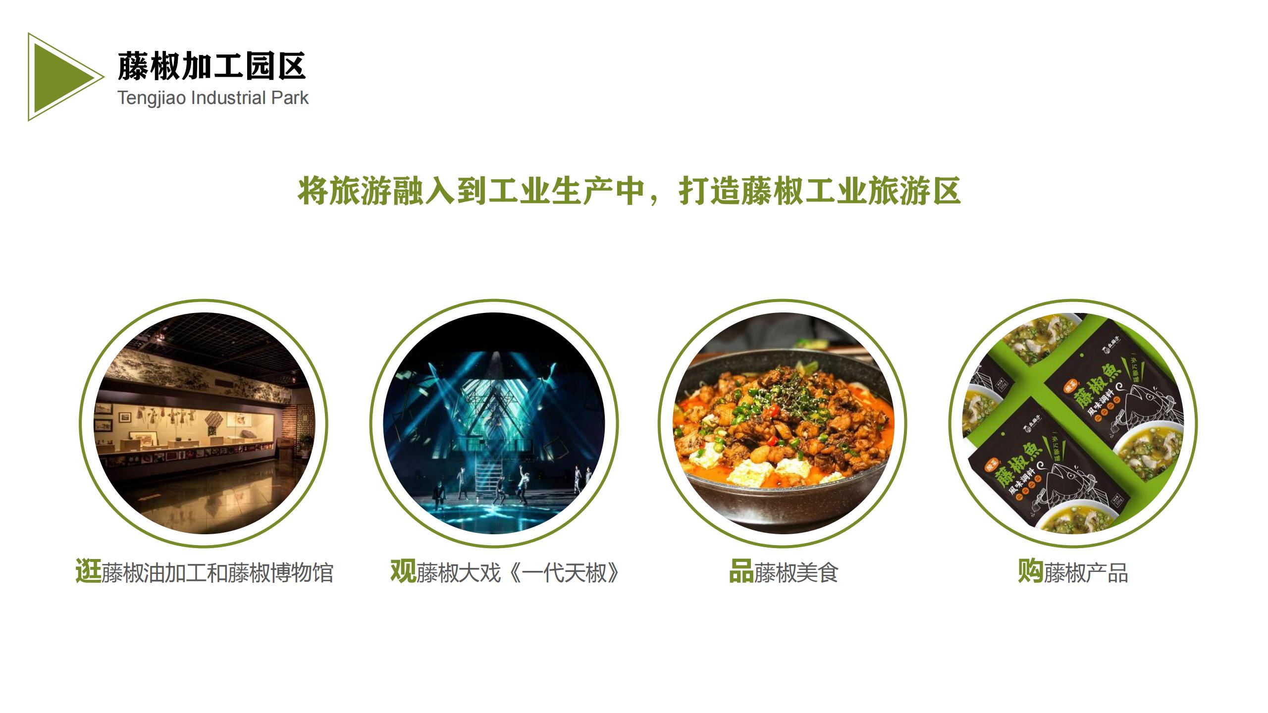 图片[27]-藤椒产业园起步区策划及修建性详细规划方案 - 由甫网-由甫网