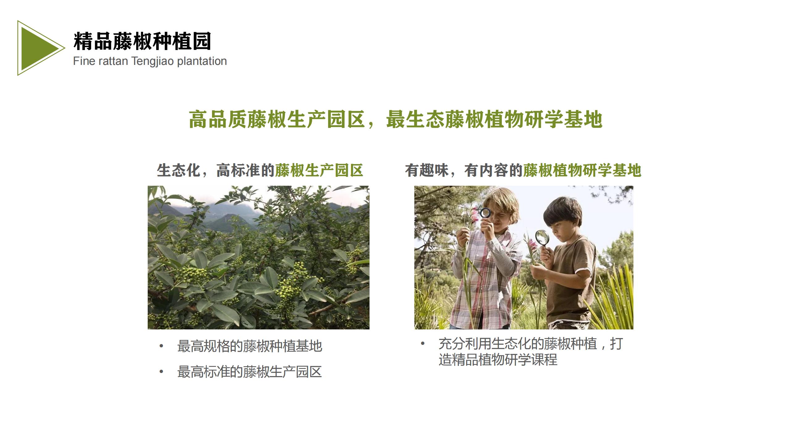 图片[30]-藤椒产业园起步区策划及修建性详细规划方案 - 由甫网-由甫网