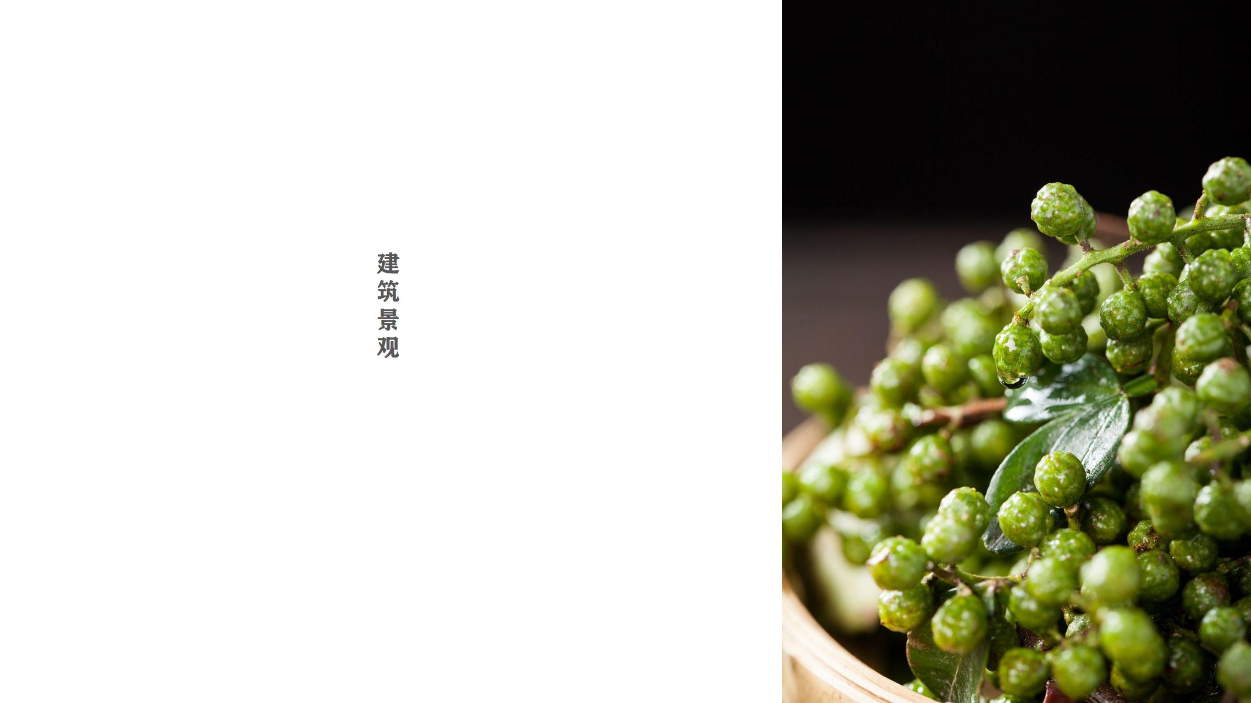 图片[43]-藤椒产业园起步区策划及修建性详细规划方案 - 由甫网-由甫网