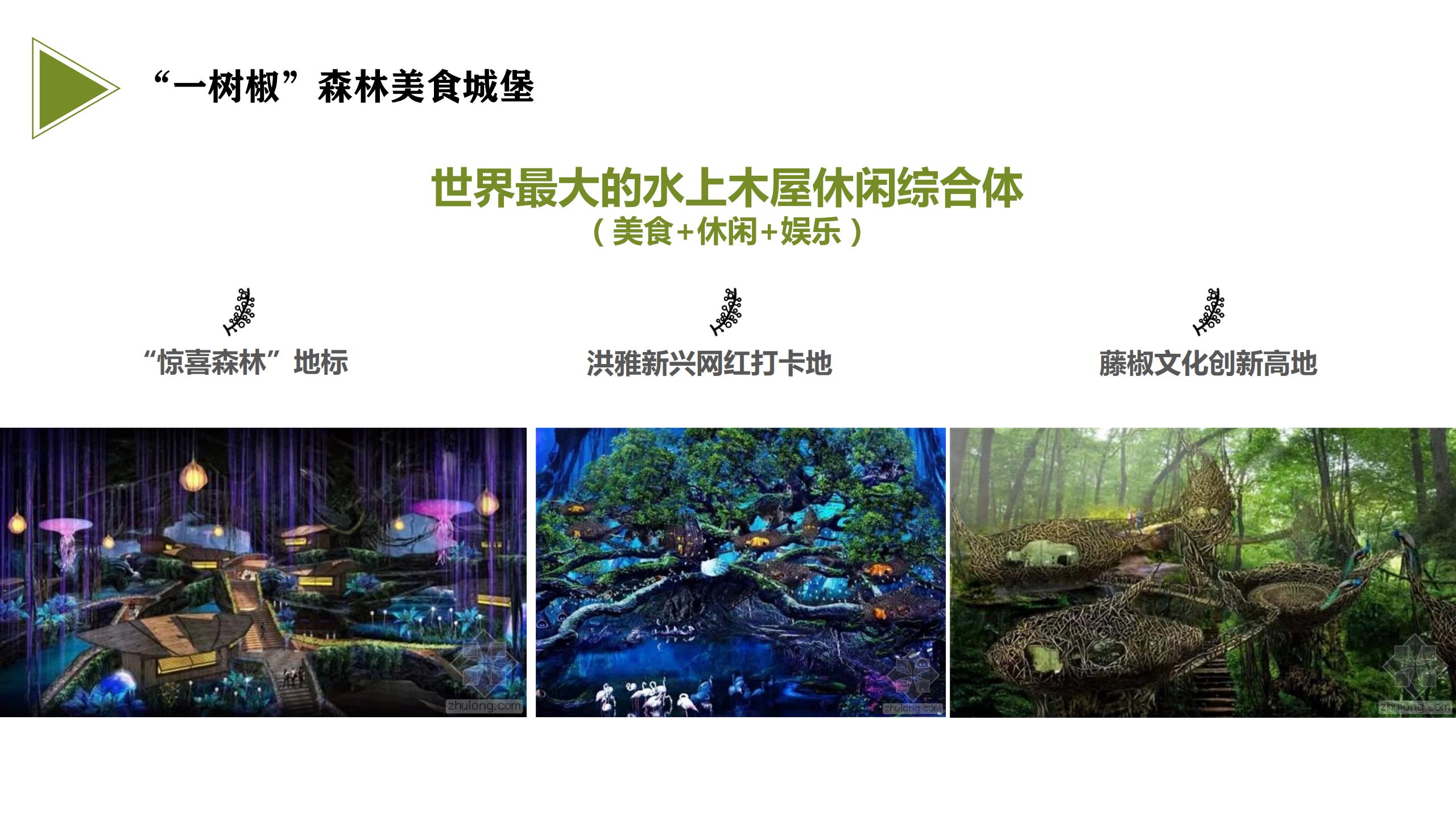 图片[46]-藤椒产业园起步区策划及修建性详细规划方案 - 由甫网-由甫网