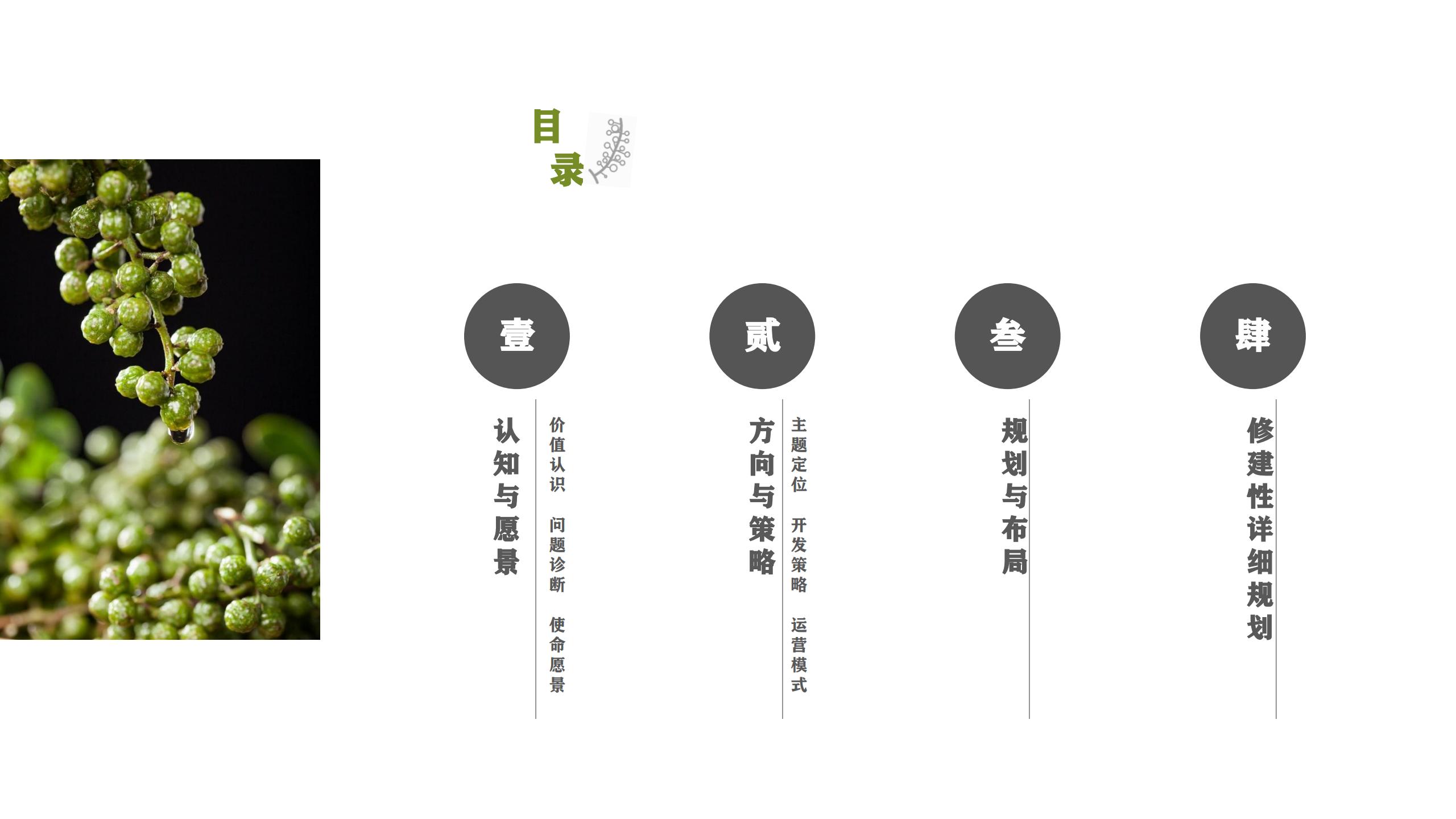 图片[1]-藤椒产业园起步区策划及修建性详细规划方案 - 由甫网-由甫网