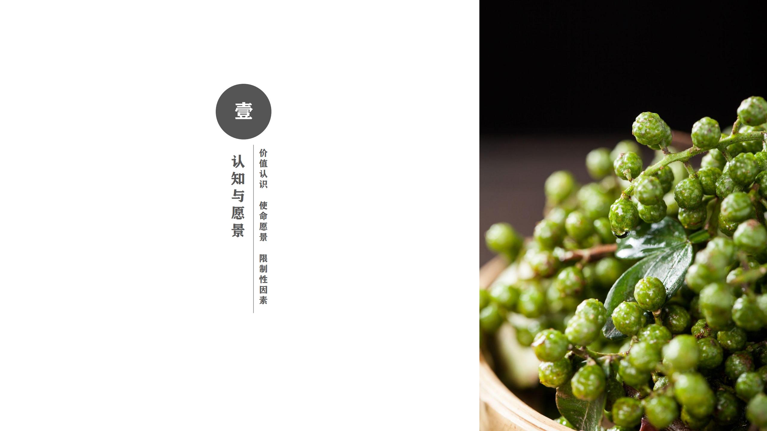 图片[2]-藤椒产业园起步区策划及修建性详细规划方案 - 由甫网-由甫网