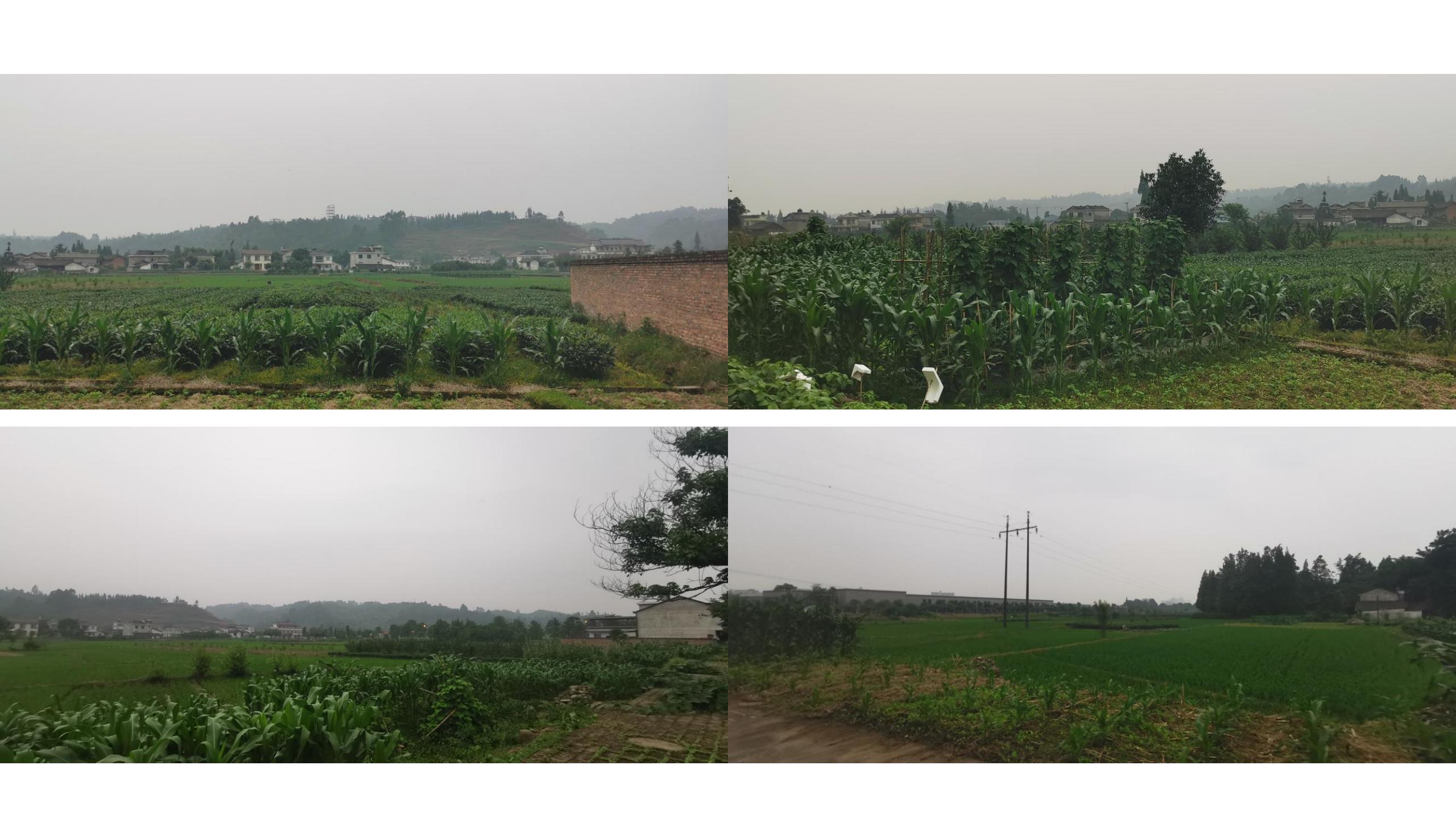 图片[13]-藤椒产业园起步区策划及修建性详细规划方案 - 由甫网-由甫网