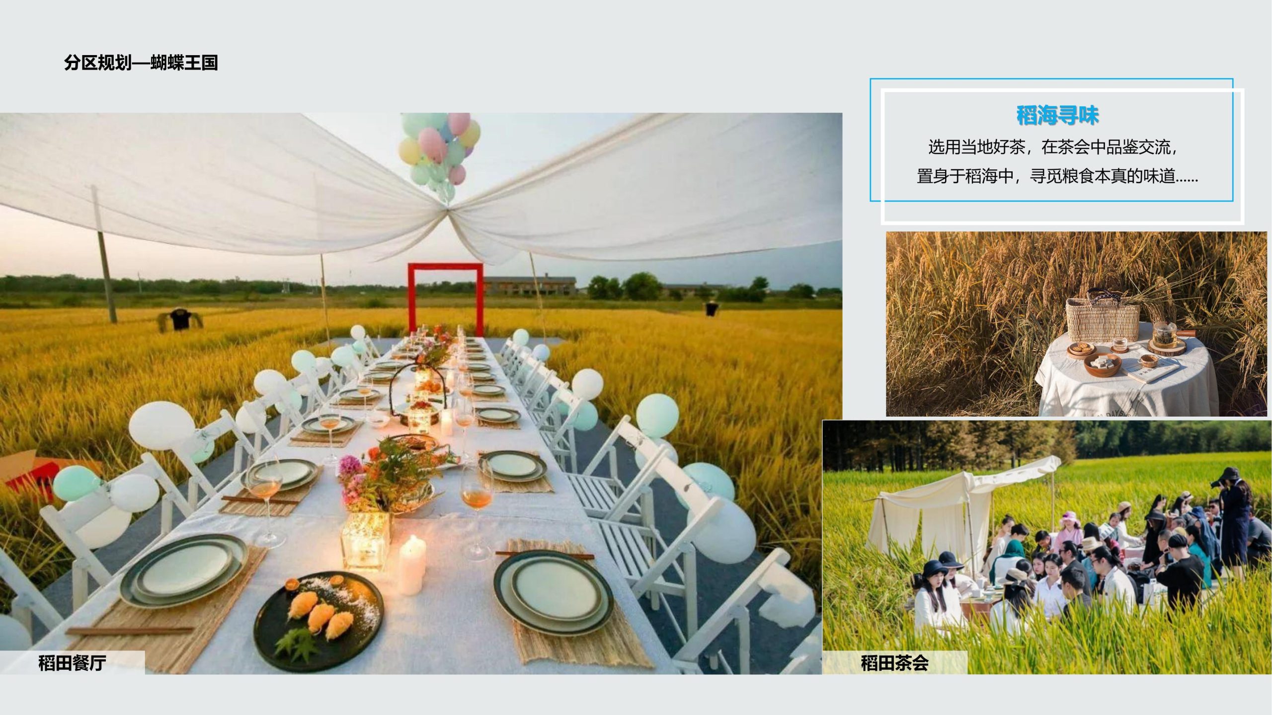 图片[66]-成都都江堰天府农耕文化体验农旅产业园景观方案 - 由甫网-由甫网