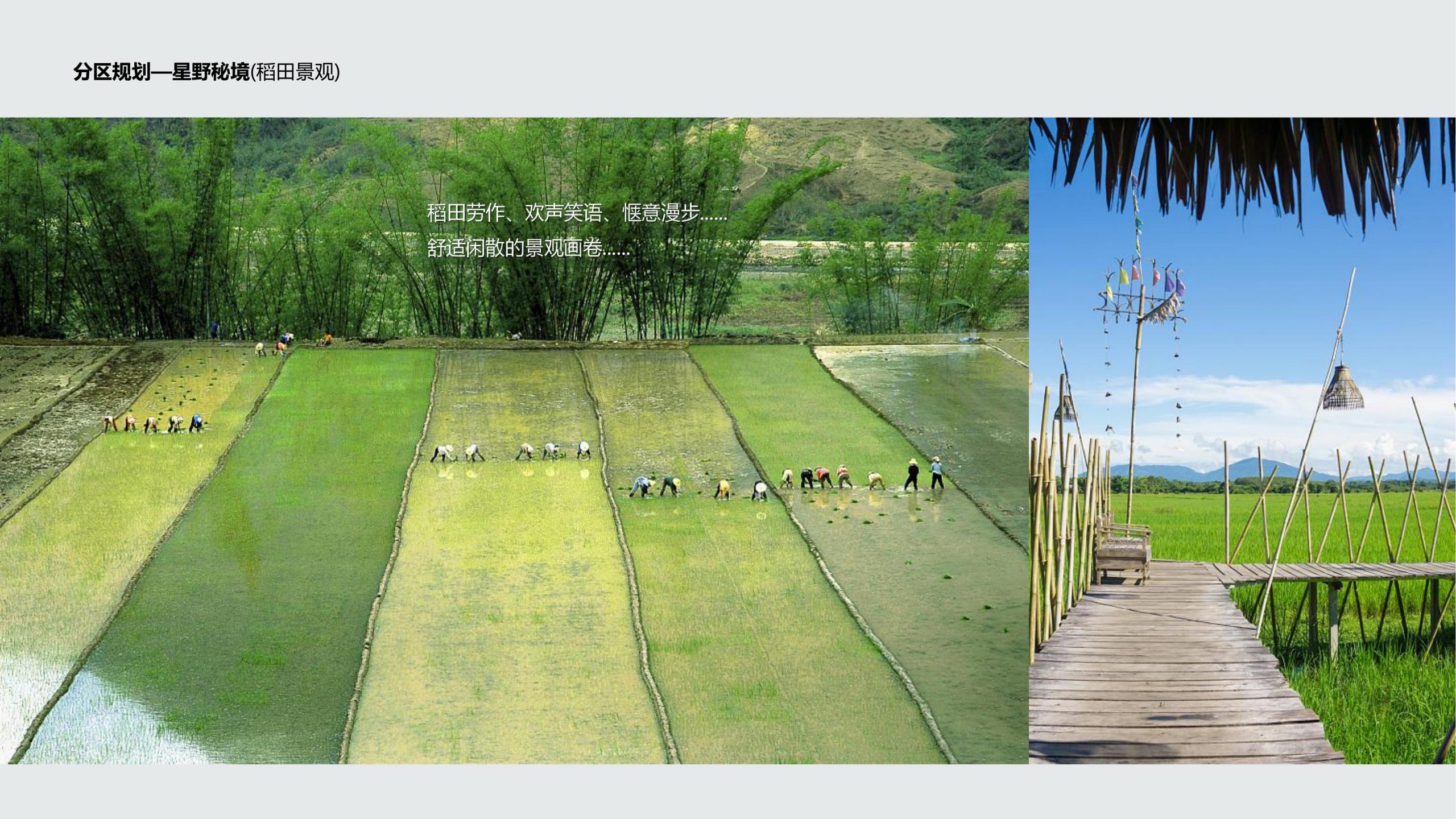 图片[68]-成都都江堰天府农耕文化体验农旅产业园景观方案 - 由甫网-由甫网