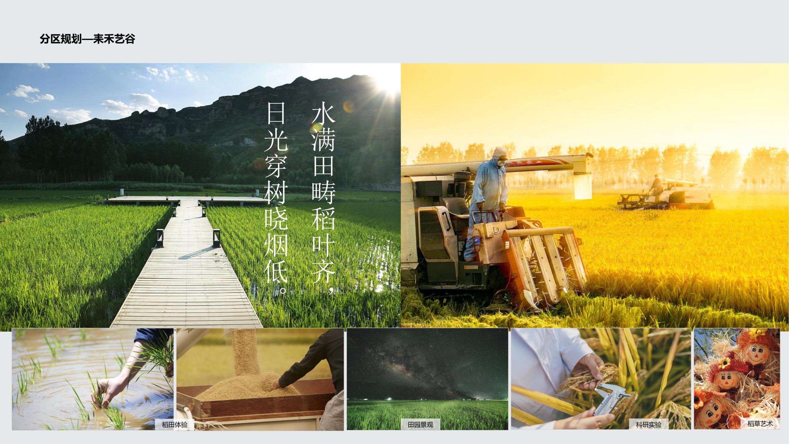 图片[84]-成都都江堰天府农耕文化体验农旅产业园景观方案 - 由甫网-由甫网