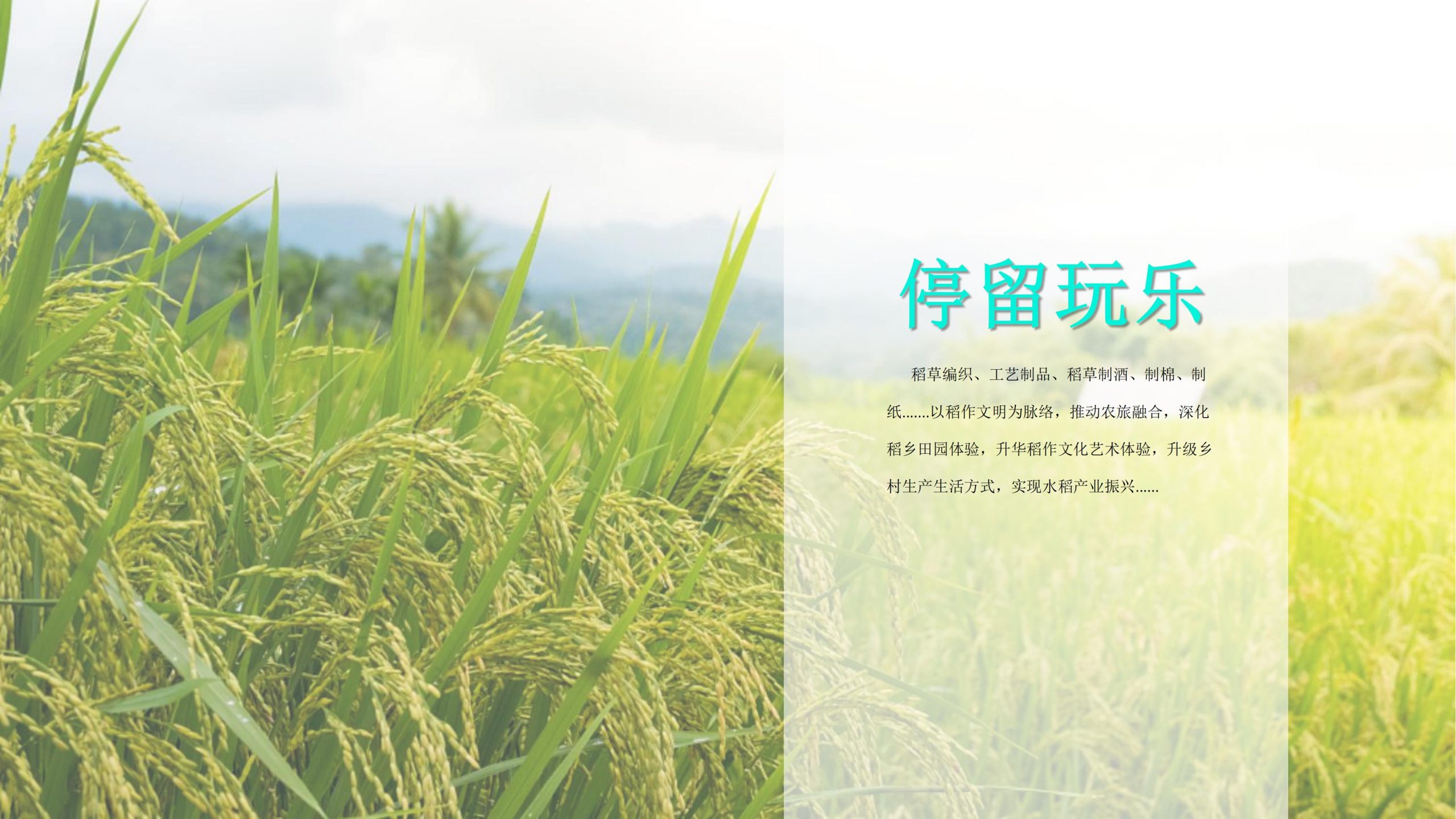 图片[86]-成都都江堰天府农耕文化体验农旅产业园景观方案 - 由甫网-由甫网