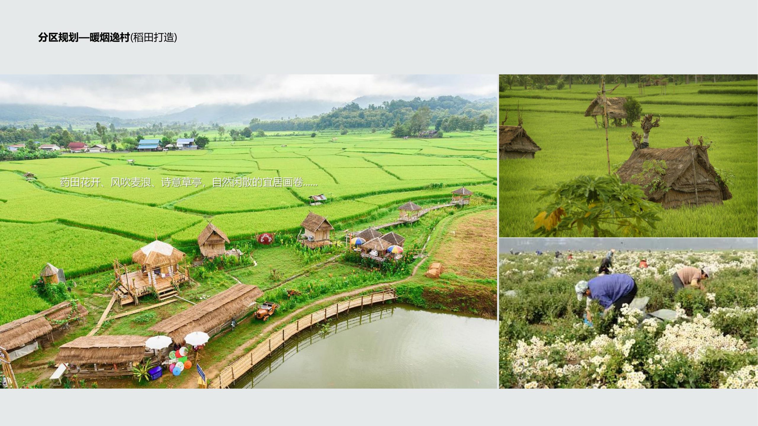 图片[95]-成都都江堰天府农耕文化体验农旅产业园景观方案 - 由甫网-由甫网