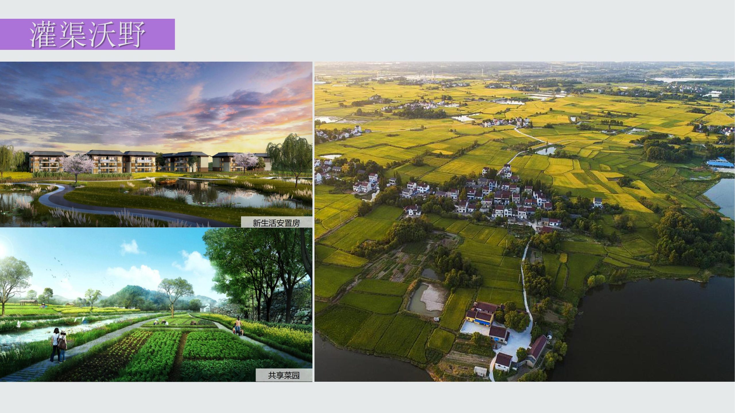 图片[101]-成都都江堰天府农耕文化体验农旅产业园景观方案 - 由甫网-由甫网