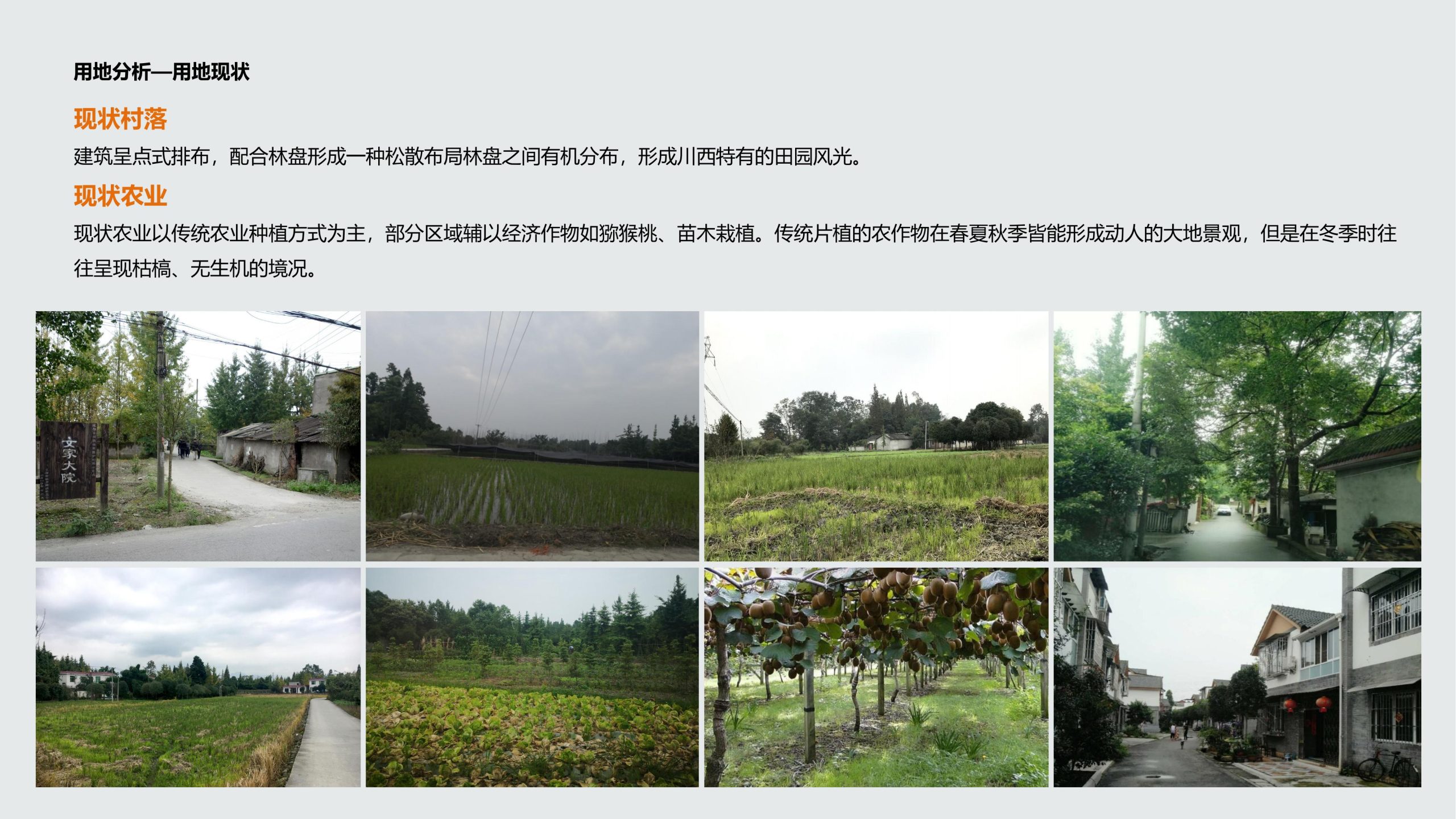 图片[7]-成都都江堰天府农耕文化体验农旅产业园景观方案 - 由甫网-由甫网