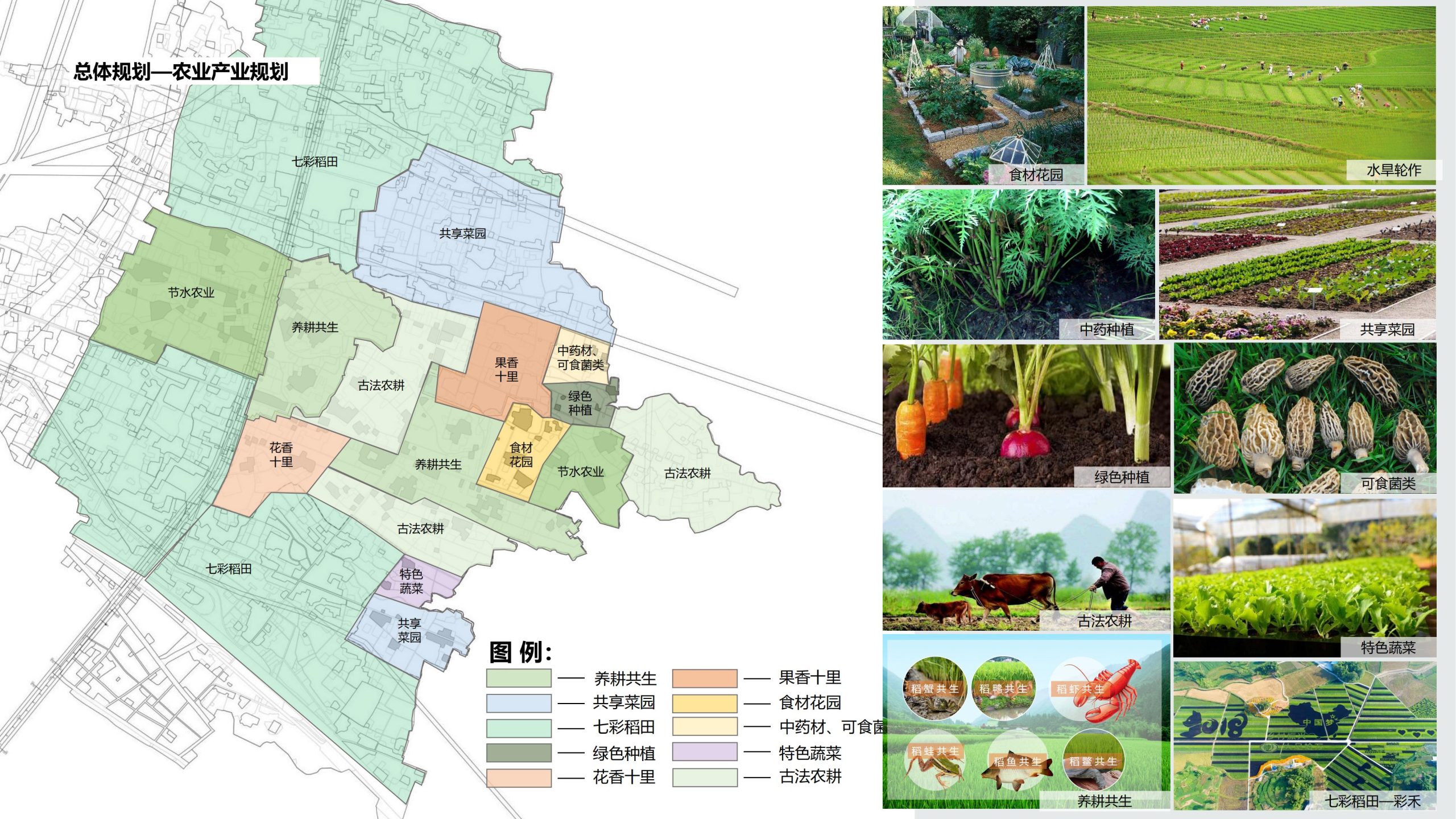 图片[14]-成都都江堰天府农耕文化体验农旅产业园景观方案 - 由甫网-由甫网
