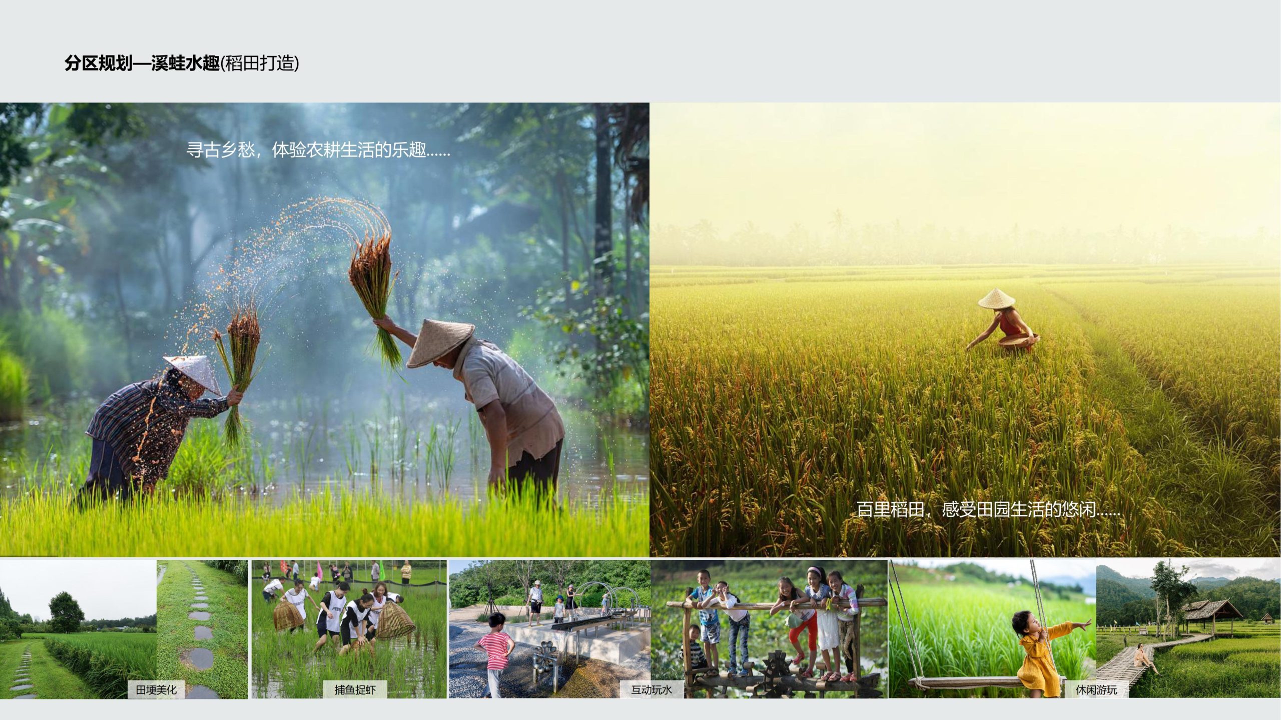 图片[18]-成都都江堰天府农耕文化体验农旅产业园景观方案 - 由甫网-由甫网