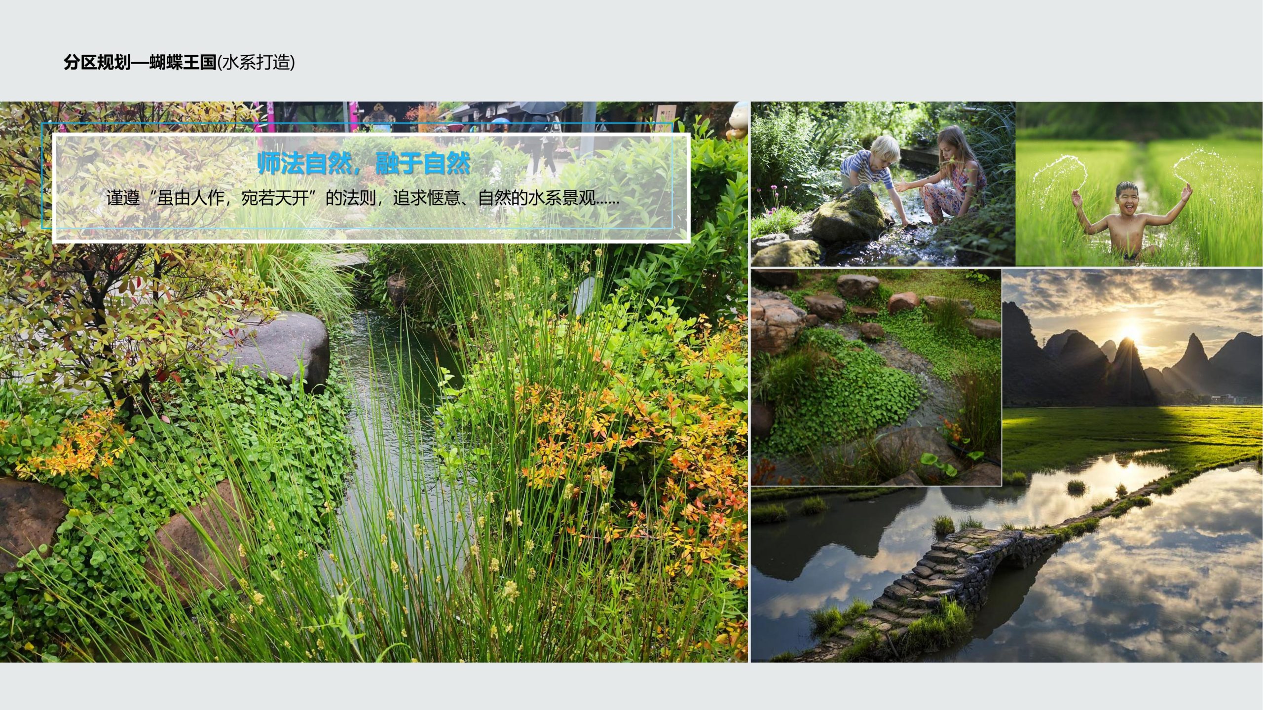 图片[49]-成都都江堰天府农耕文化体验农旅产业园景观方案 - 由甫网-由甫网
