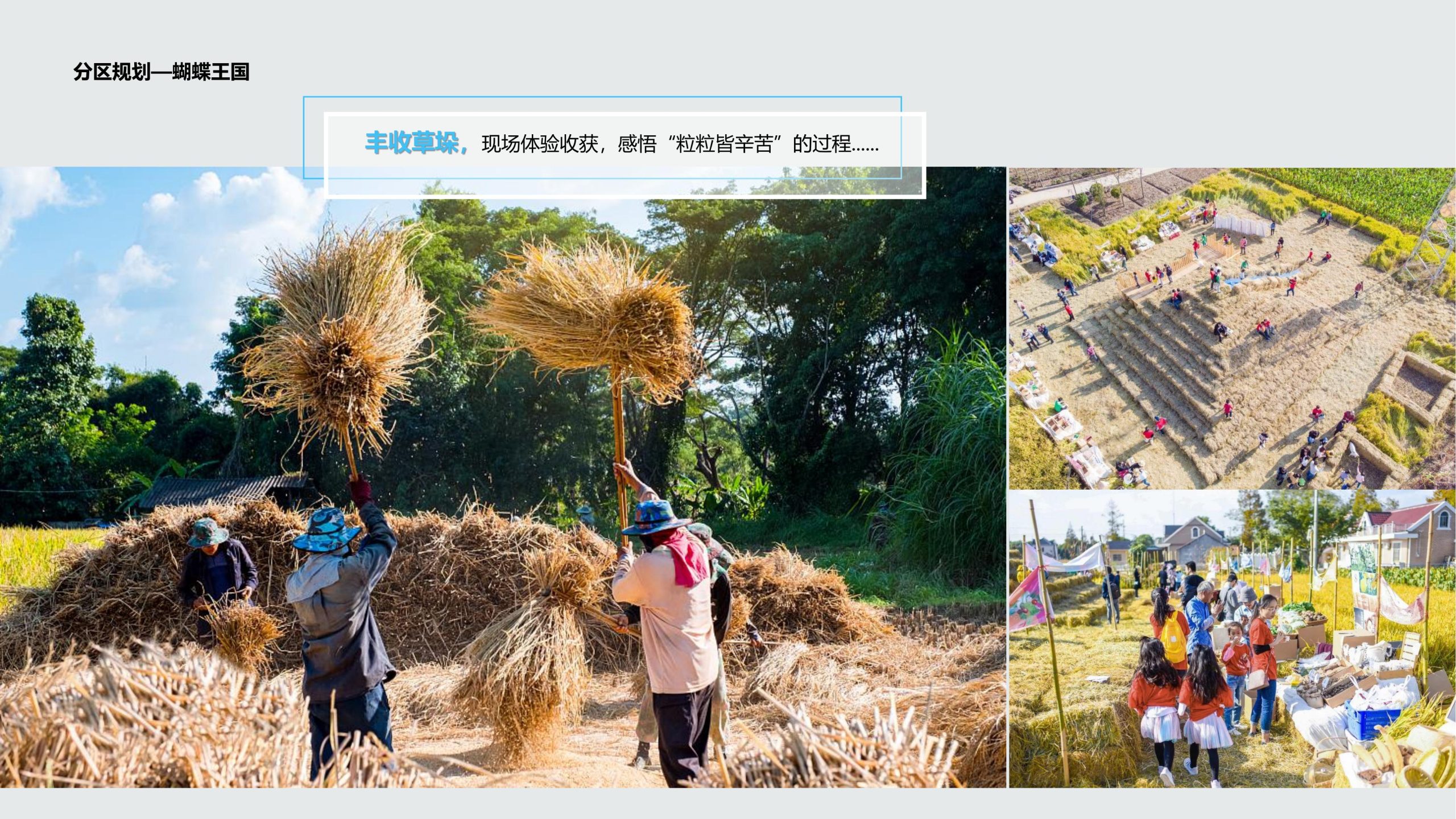 图片[53]-成都都江堰天府农耕文化体验农旅产业园景观方案 - 由甫网-由甫网