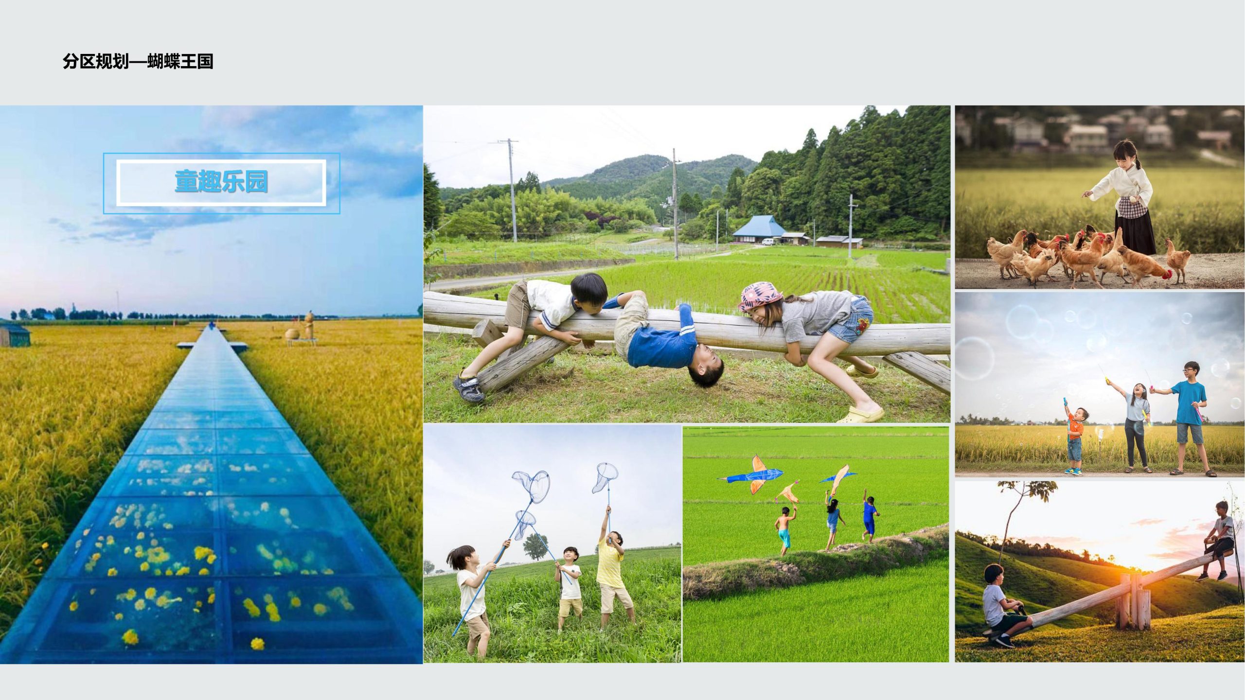 图片[54]-成都都江堰天府农耕文化体验农旅产业园景观方案 - 由甫网-由甫网