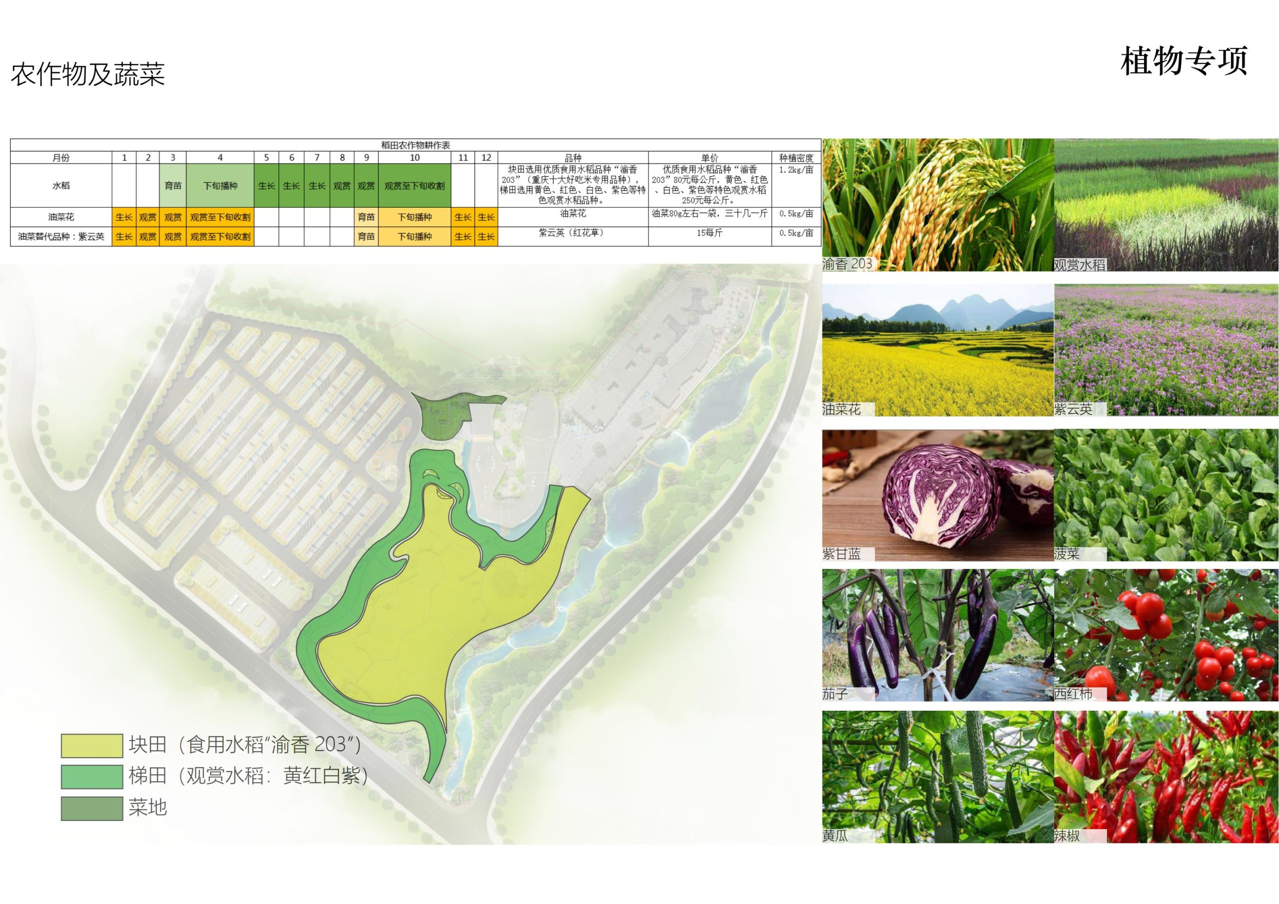 图片[117]-铜梁区中铁安居文旅项目（田园乡村农旅）游客接待中心景观设计 - 由甫网-由甫网