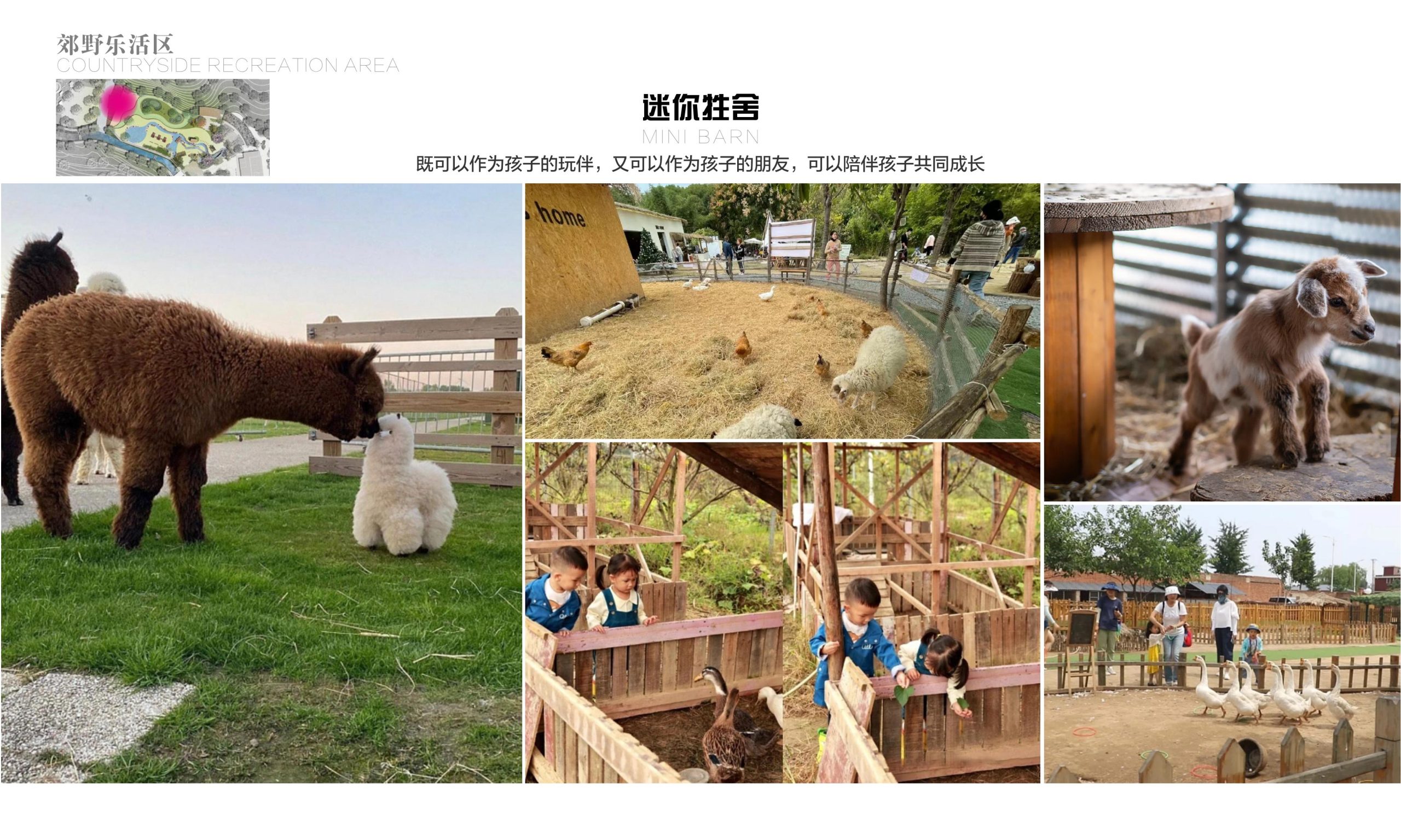 图片[29]-黄石市下陆区汪洋主题农场营地概念设计方案 - 由甫网-由甫网