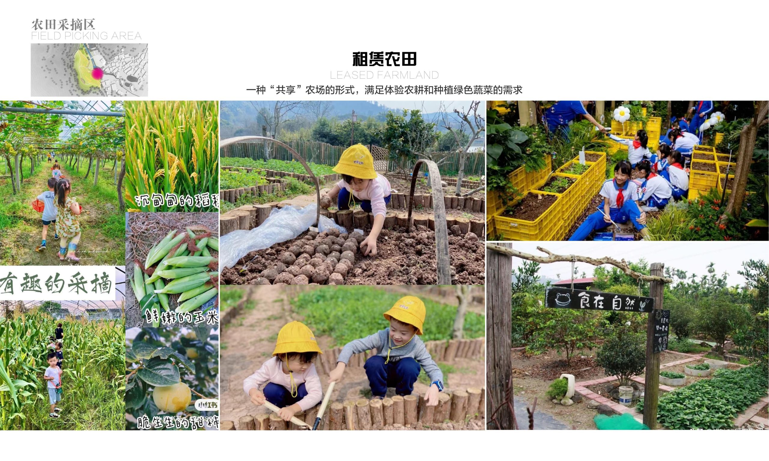 图片[40]-黄石市下陆区汪洋主题农场营地概念设计方案 - 由甫网-由甫网