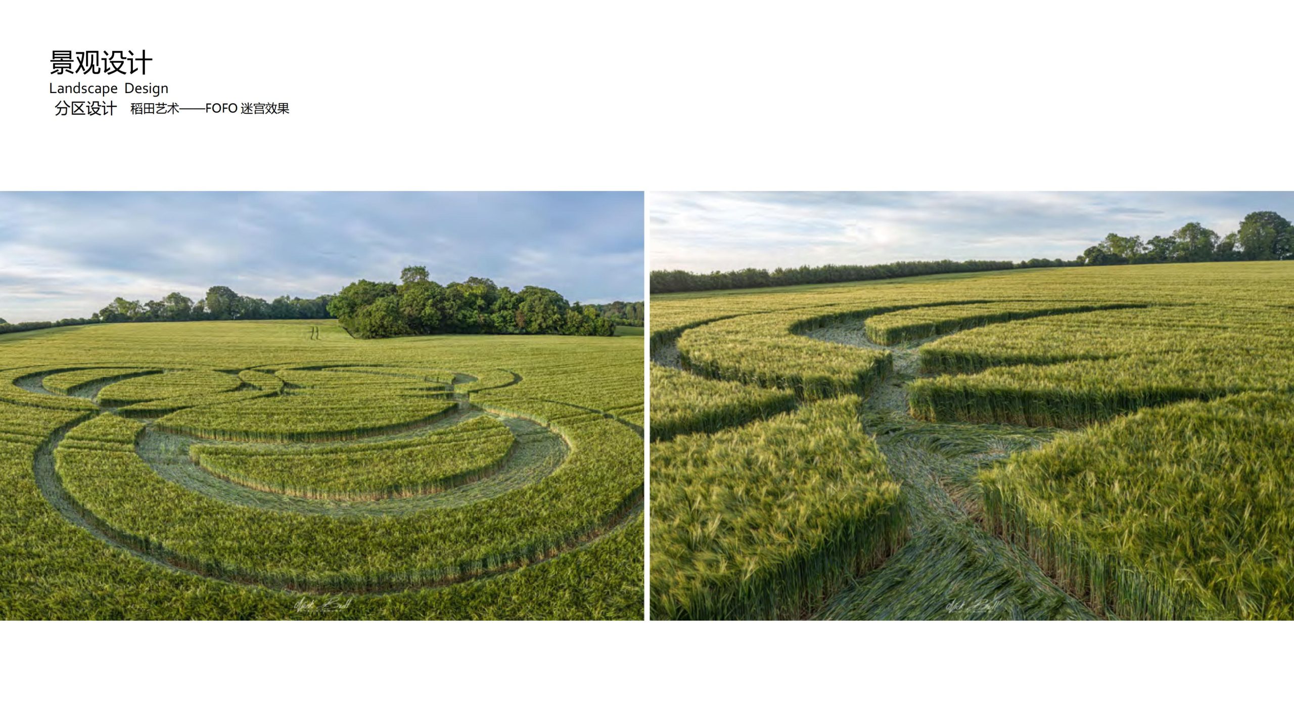 图片[36]-融创四面山原乡富硒有机农业体验园景观概念设计 - 由甫网-由甫网