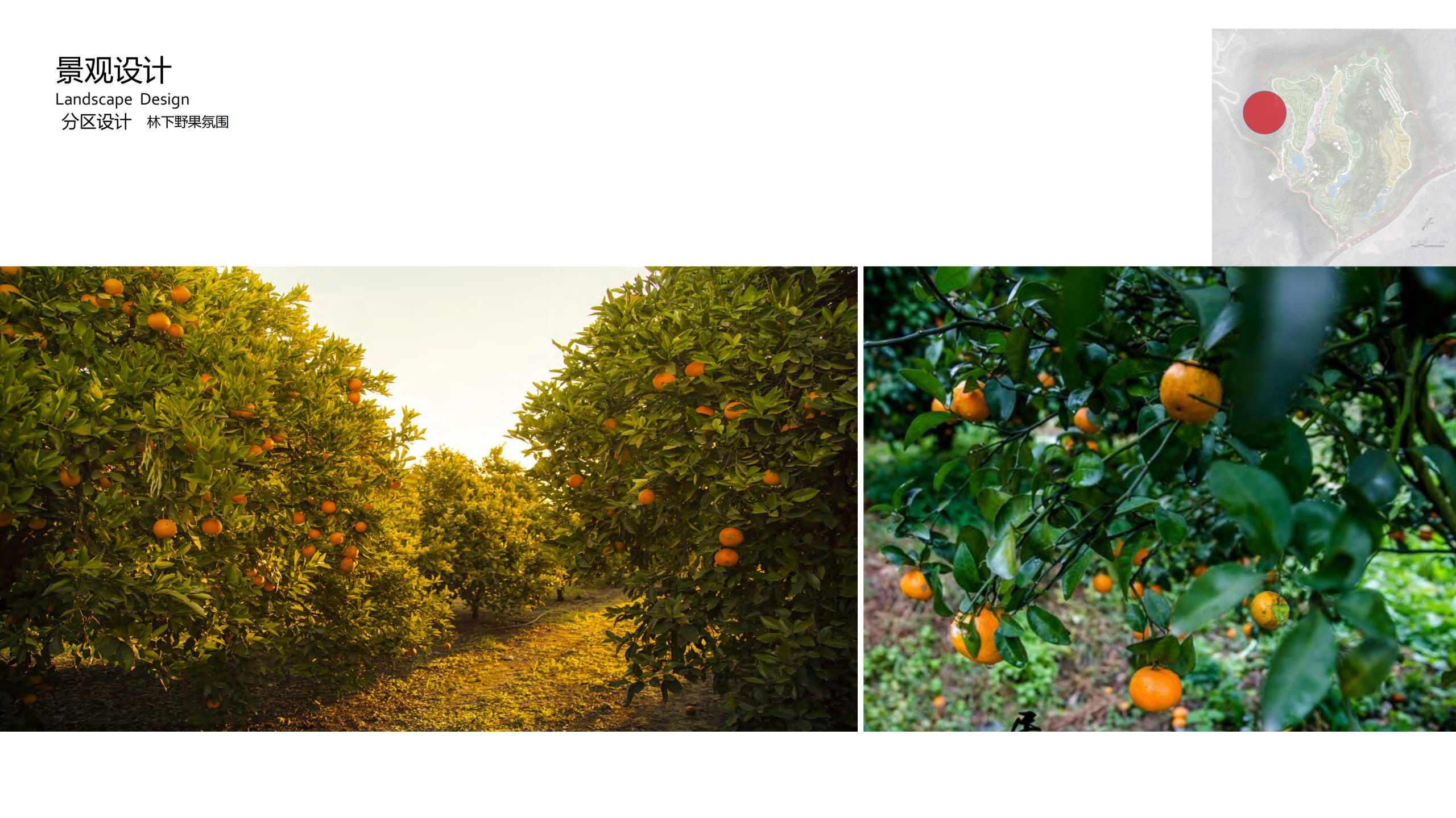 图片[40]-融创四面山原乡富硒有机农业体验园景观概念设计 - 由甫网-由甫网