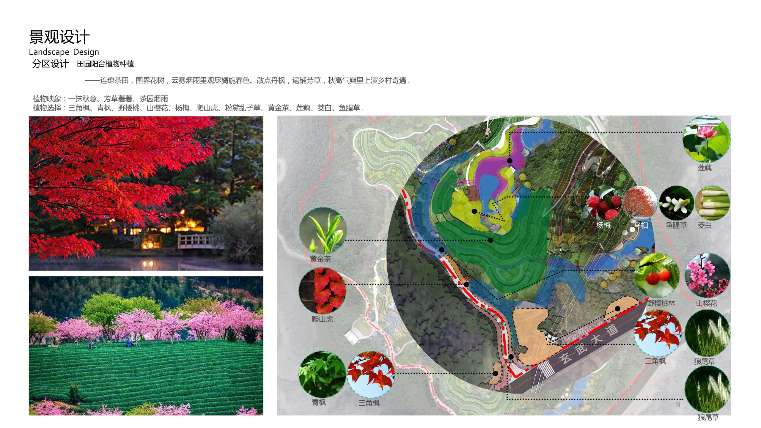 图片[44]-融创四面山原乡富硒有机农业体验园景观概念设计 - 由甫网-由甫网