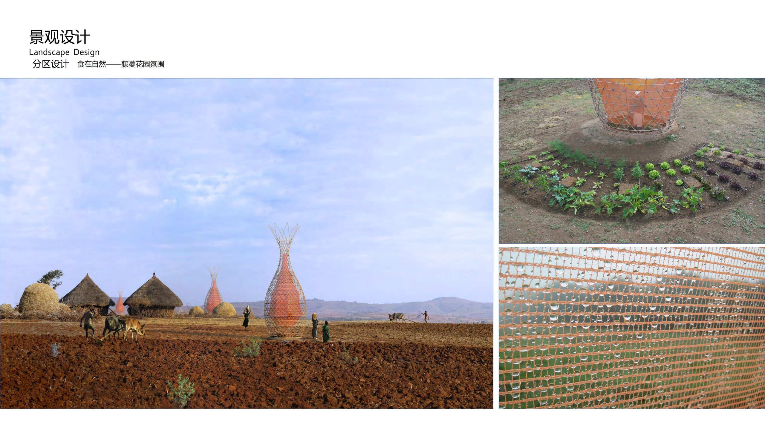 图片[63]-融创四面山原乡富硒有机农业体验园景观概念设计 - 由甫网-由甫网