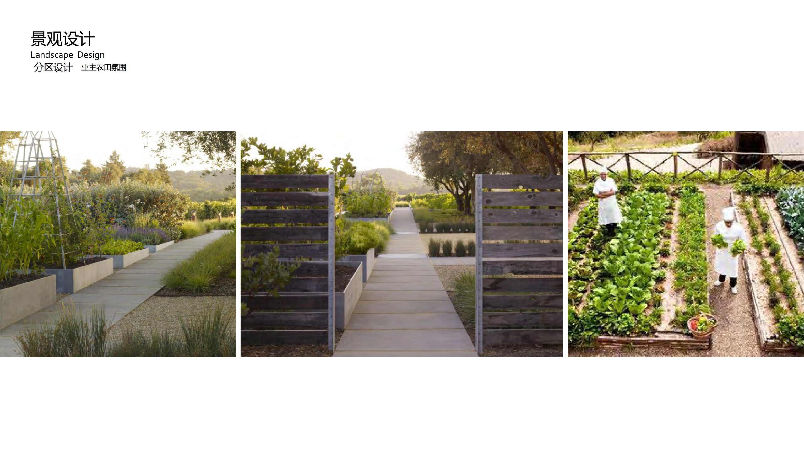 图片[64]-融创四面山原乡富硒有机农业体验园景观概念设计 - 由甫网-由甫网