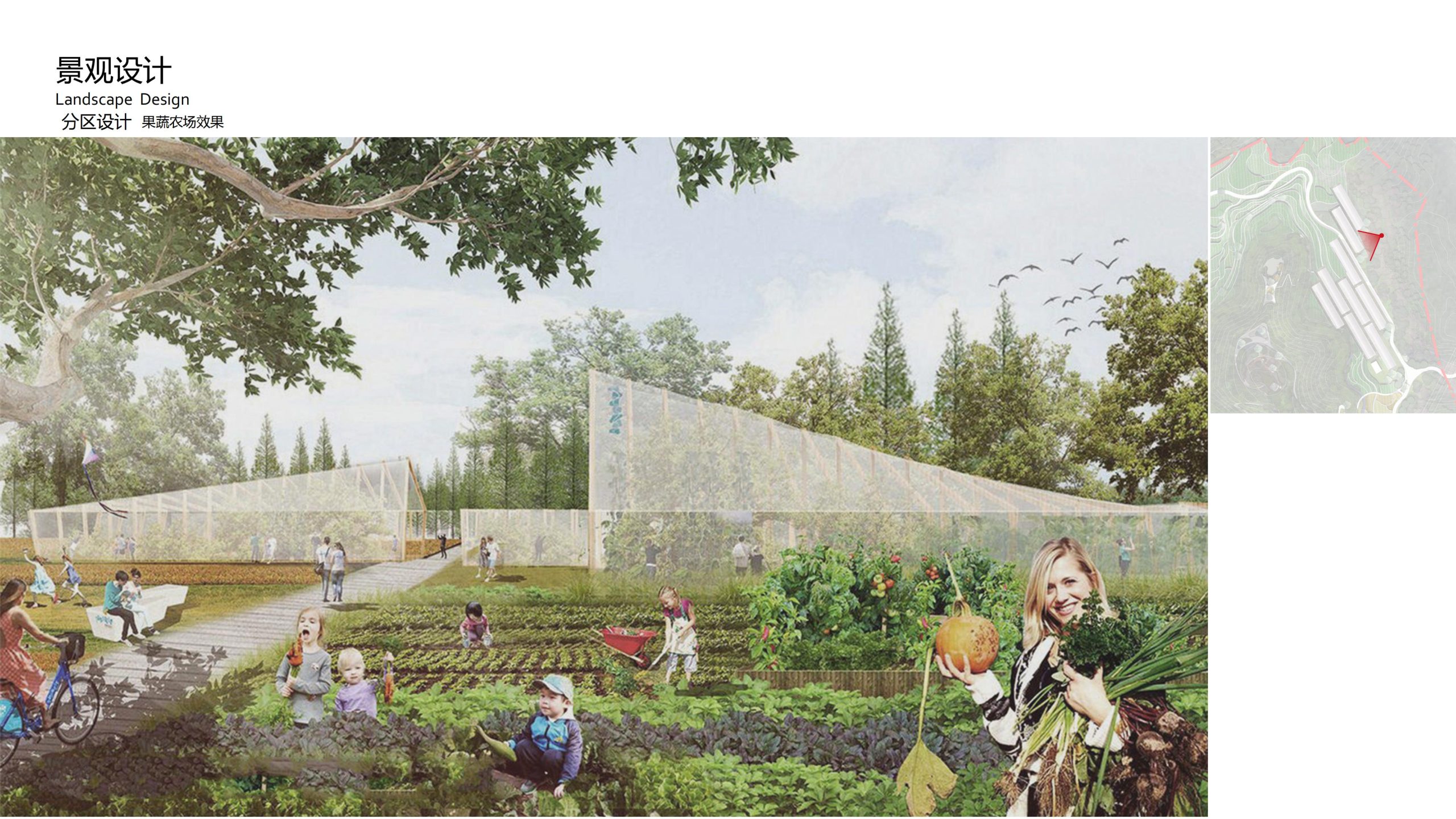 图片[71]-融创四面山原乡富硒有机农业体验园景观概念设计 - 由甫网-由甫网