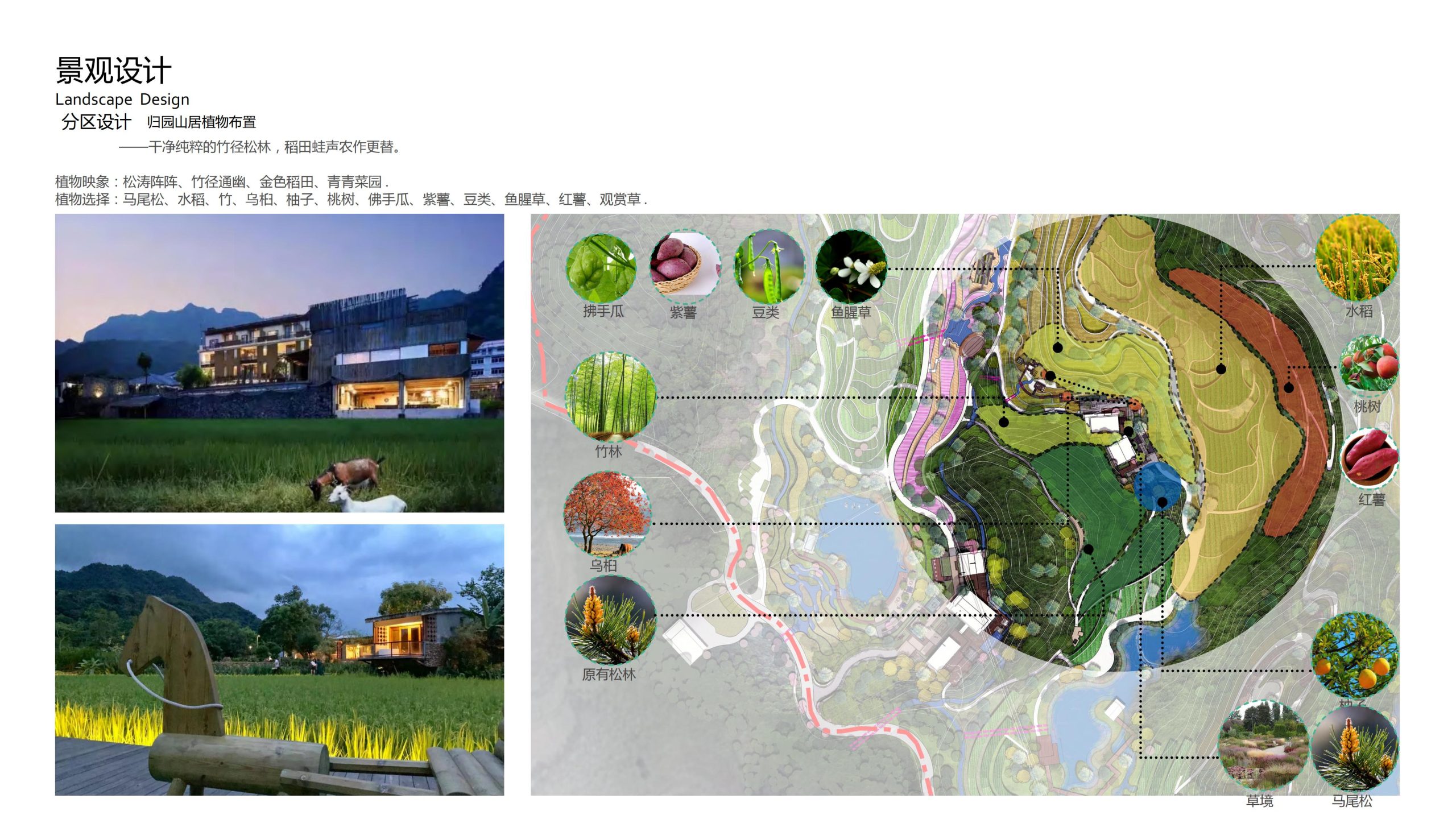 图片[75]-融创四面山原乡富硒有机农业体验园景观概念设计 - 由甫网-由甫网