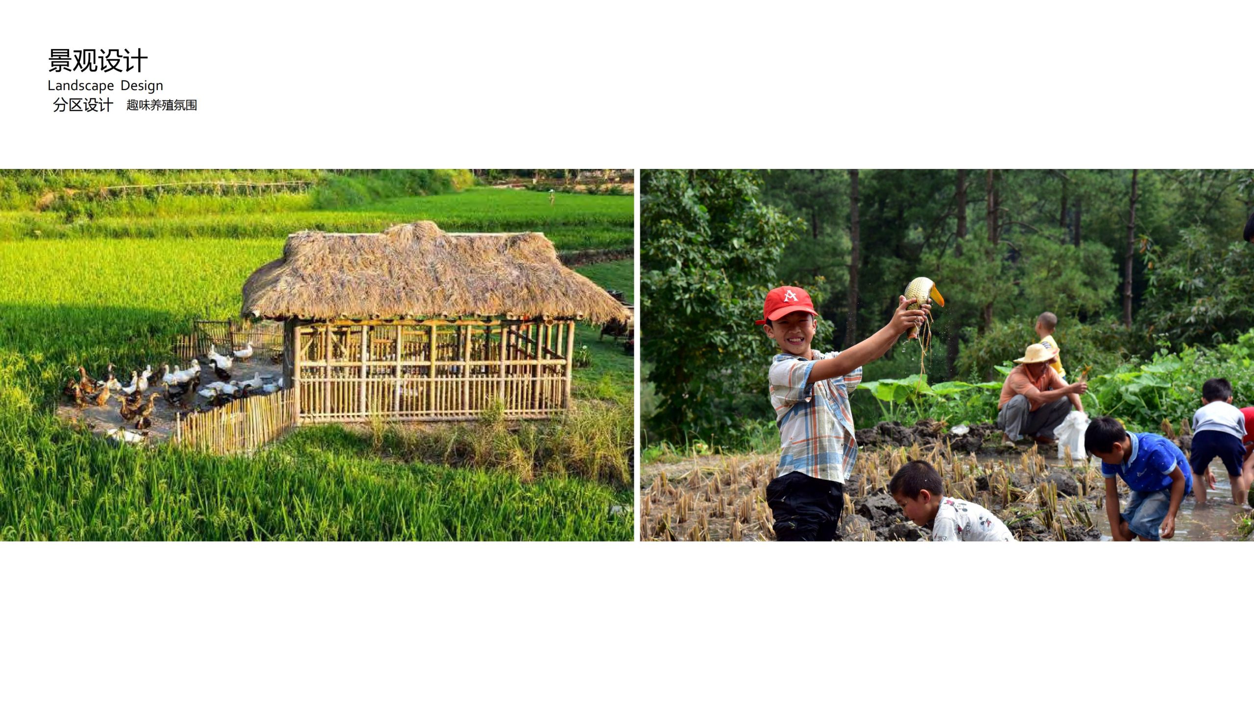 图片[91]-融创四面山原乡富硒有机农业体验园景观概念设计 - 由甫网-由甫网