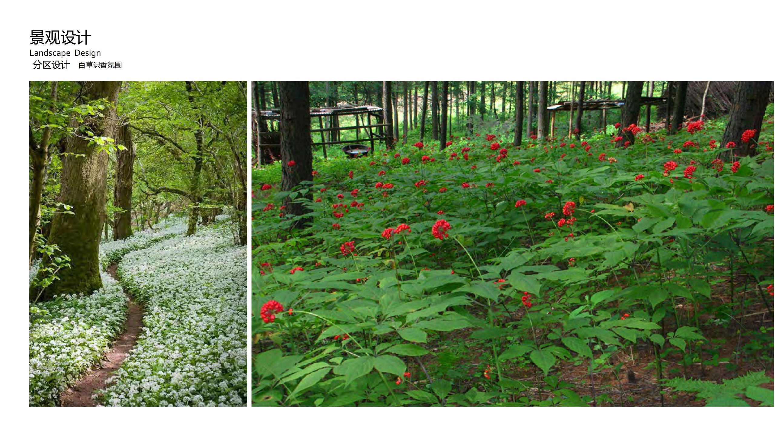 图片[98]-融创四面山原乡富硒有机农业体验园景观概念设计 - 由甫网-由甫网