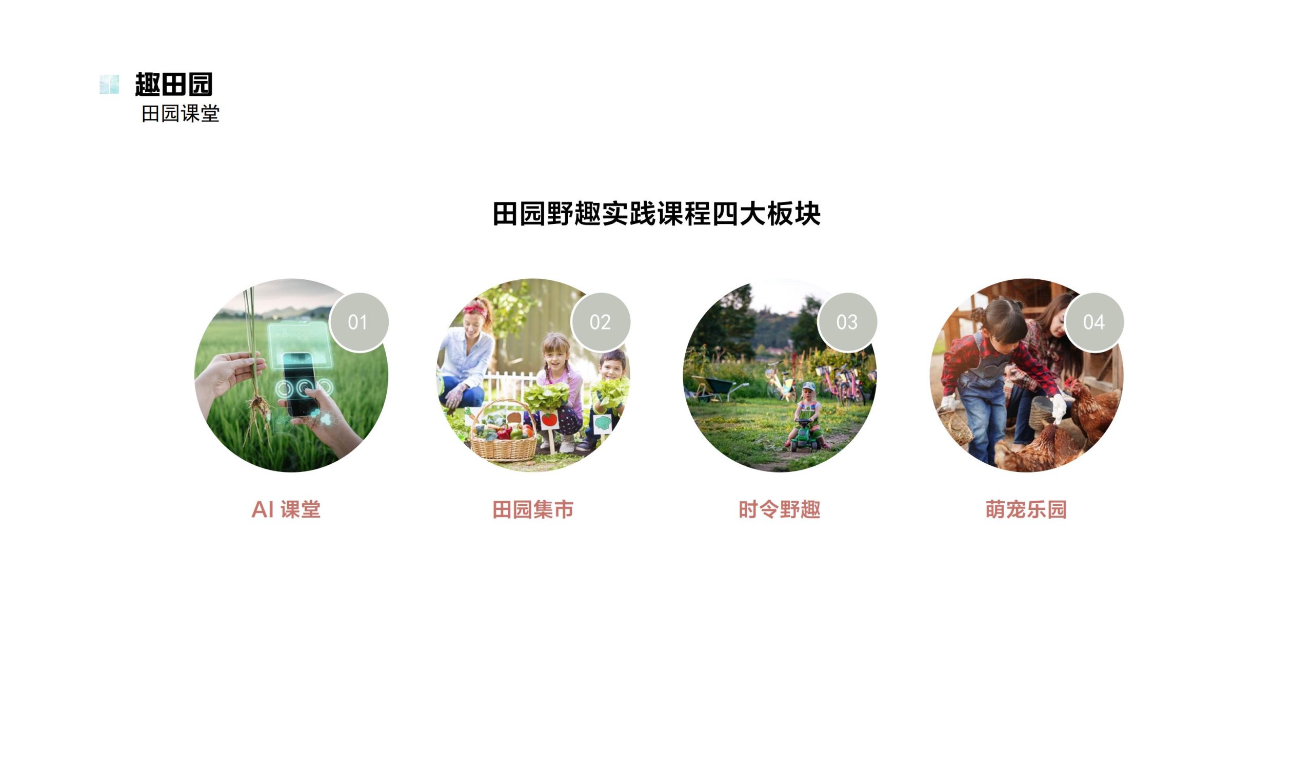 图片[62]-鹤峰溇水溪谷项目（乡村振兴+农文旅+田园研学）设计方案 - 由甫网-由甫网