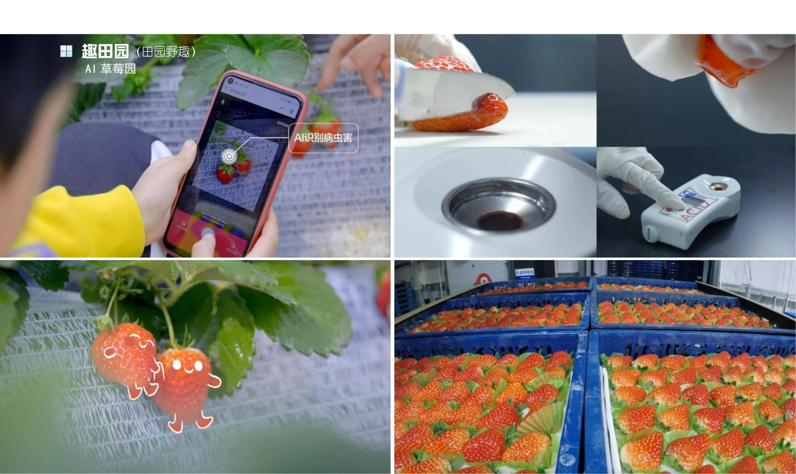 图片[63]-鹤峰溇水溪谷项目（乡村振兴+农文旅+田园研学）设计方案 - 由甫网-由甫网