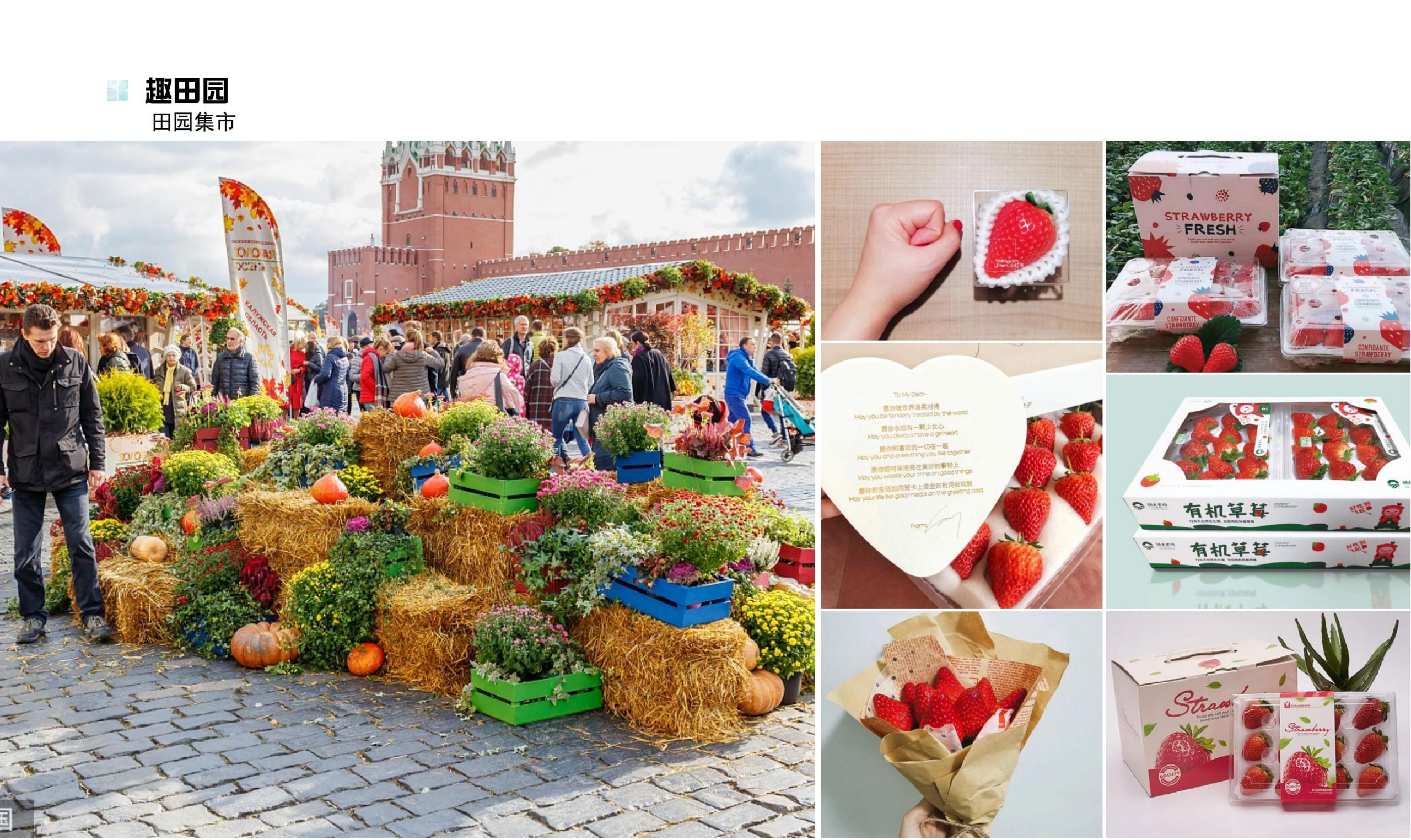 图片[65]-鹤峰溇水溪谷项目（乡村振兴+农文旅+田园研学）设计方案 - 由甫网-由甫网