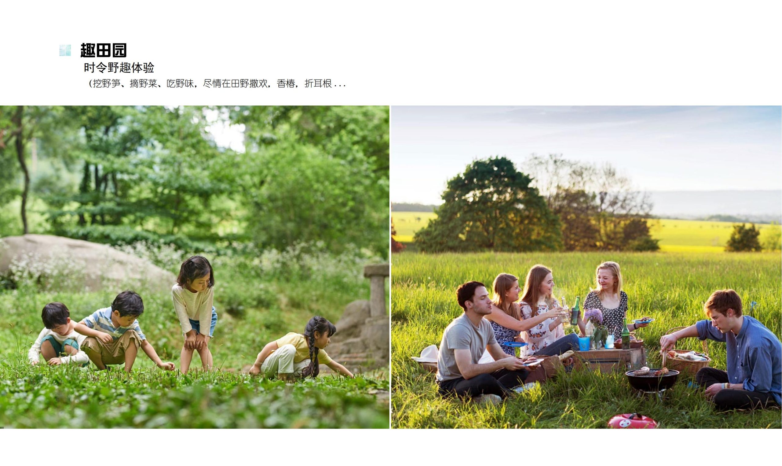 图片[66]-鹤峰溇水溪谷项目（乡村振兴+农文旅+田园研学）设计方案 - 由甫网-由甫网