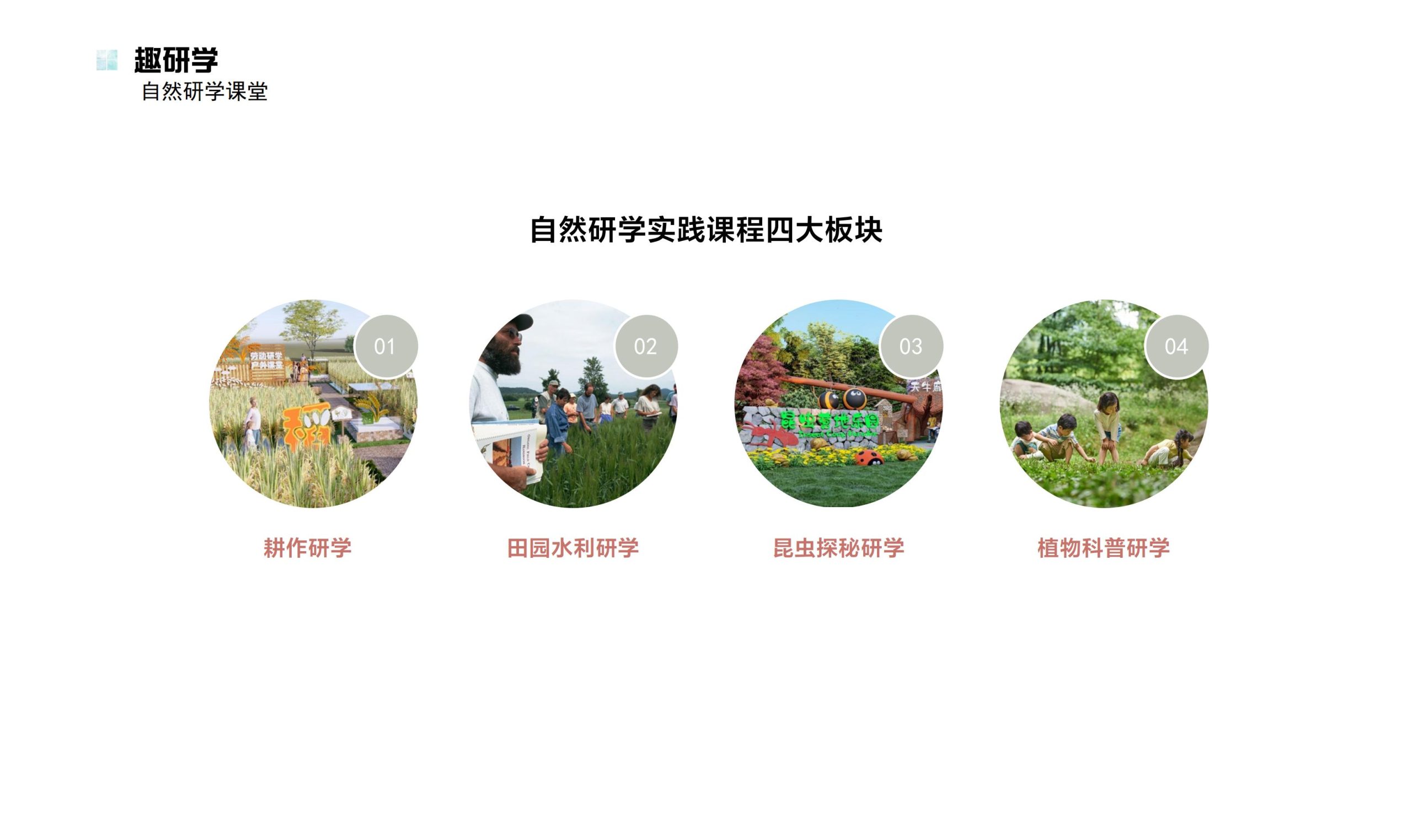 图片[70]-鹤峰溇水溪谷项目（乡村振兴+农文旅+田园研学）设计方案 - 由甫网-由甫网