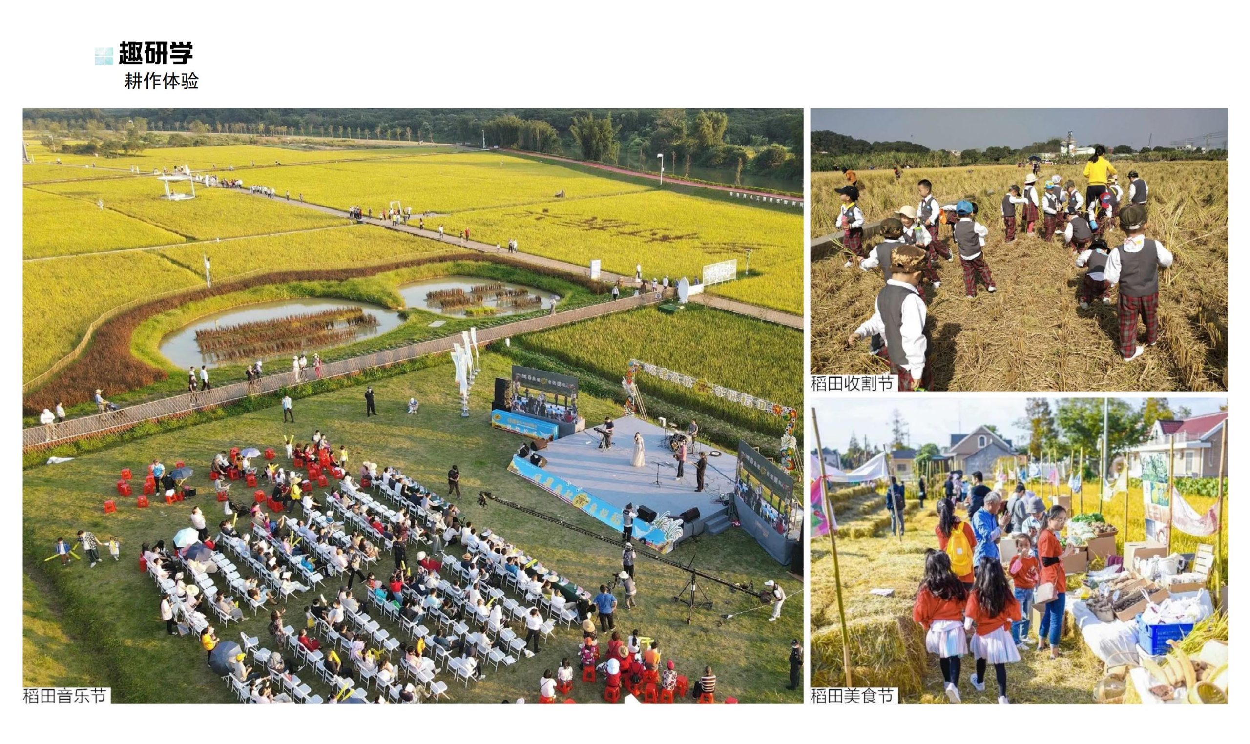 图片[73]-鹤峰溇水溪谷项目（乡村振兴+农文旅+田园研学）设计方案 - 由甫网-由甫网