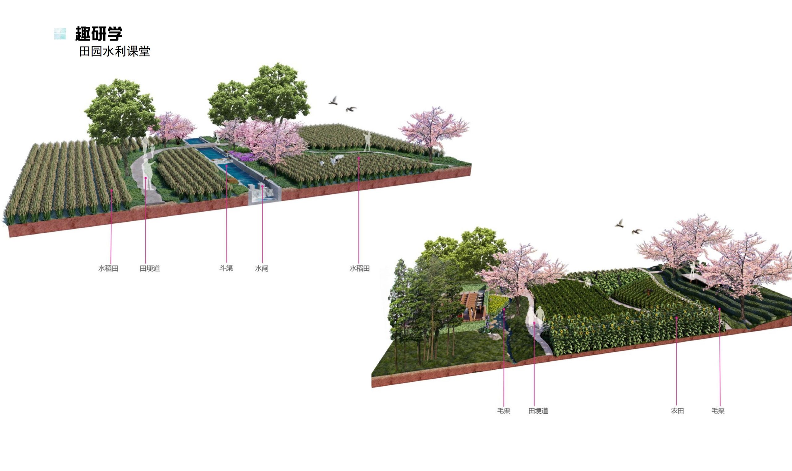 图片[79]-鹤峰溇水溪谷项目（乡村振兴+农文旅+田园研学）设计方案 - 由甫网-由甫网