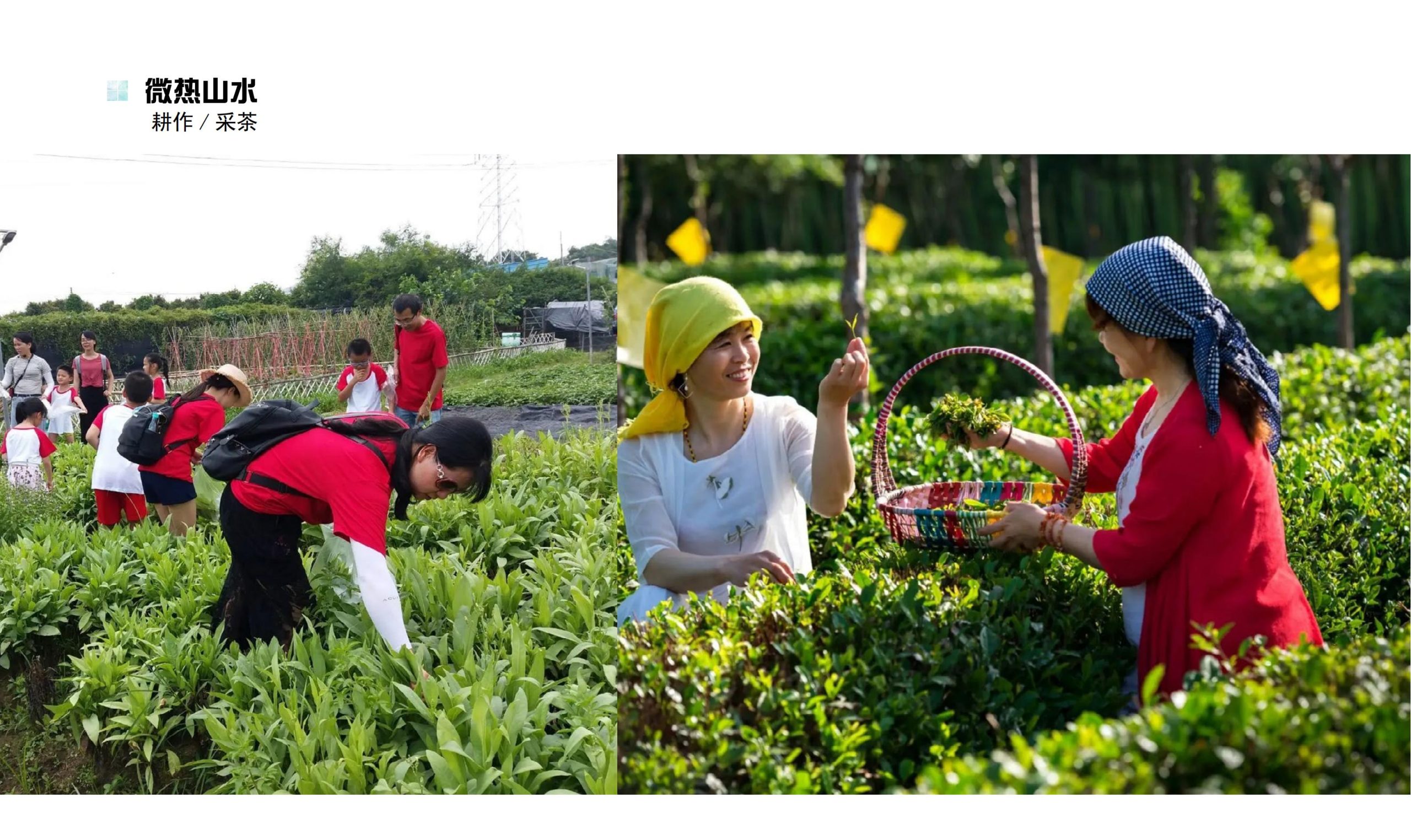 图片[59]-鹤峰溇水溪谷项目（乡村振兴+农文旅+田园研学）设计方案 - 由甫网-由甫网