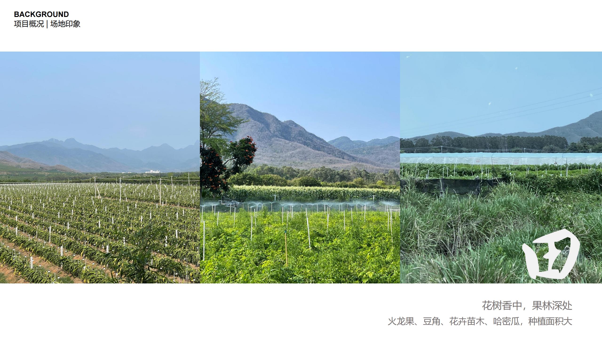 图片[13]-三亚乐东尖峰项目概念规划设计 - 由甫网-由甫网