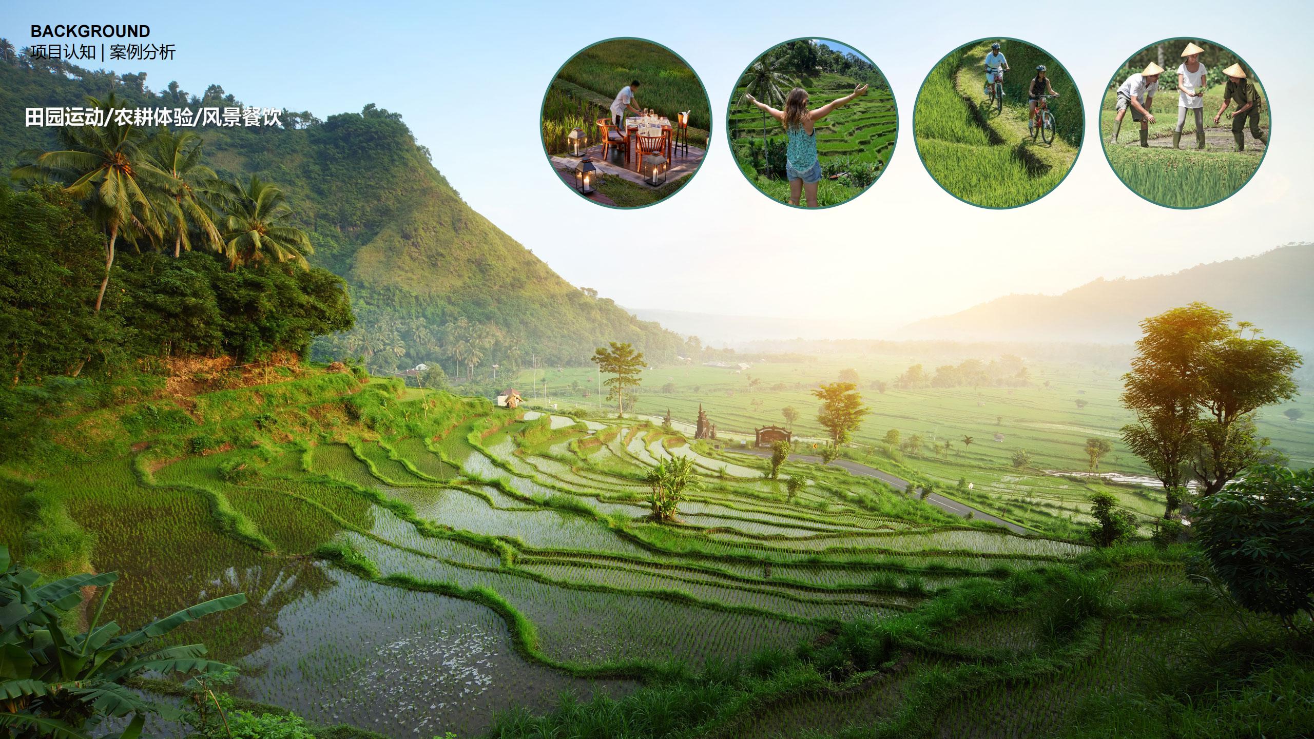 图片[39]-三亚乐东尖峰项目概念规划设计 - 由甫网-由甫网